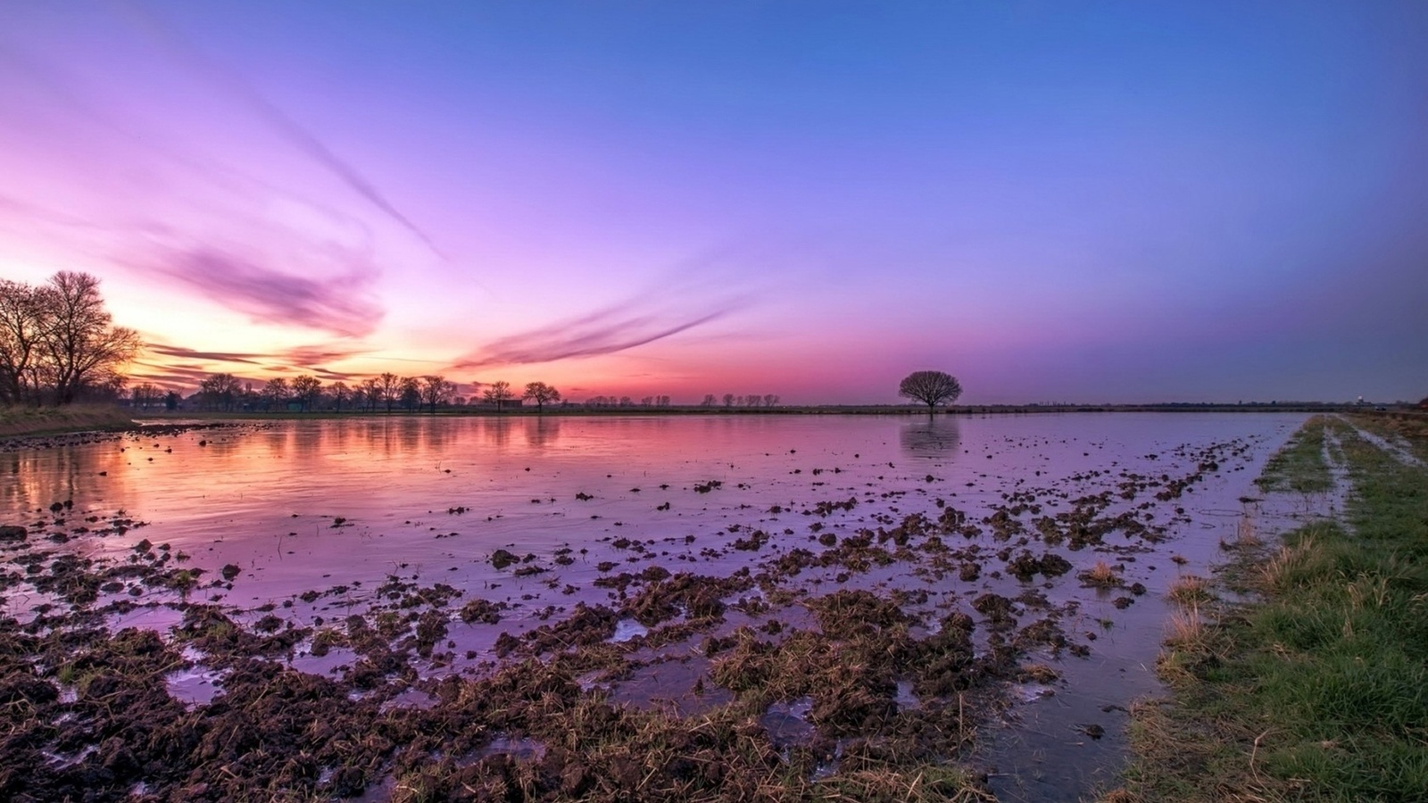 lake, muddy, purple, water