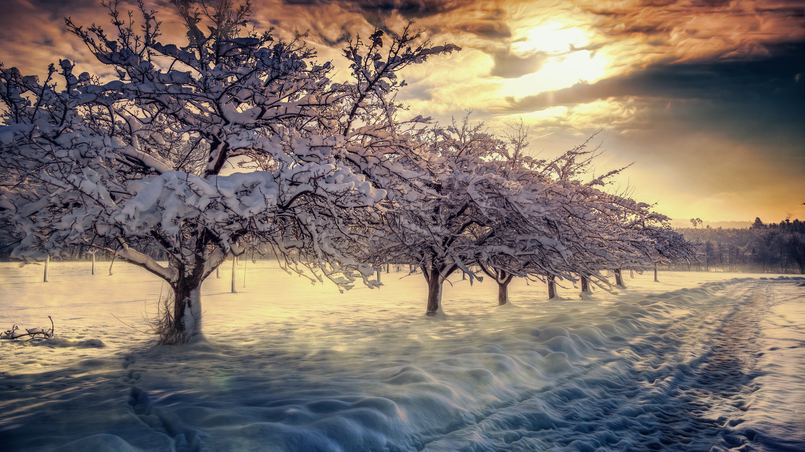 winter, sunset, trees, road, snow, landscape