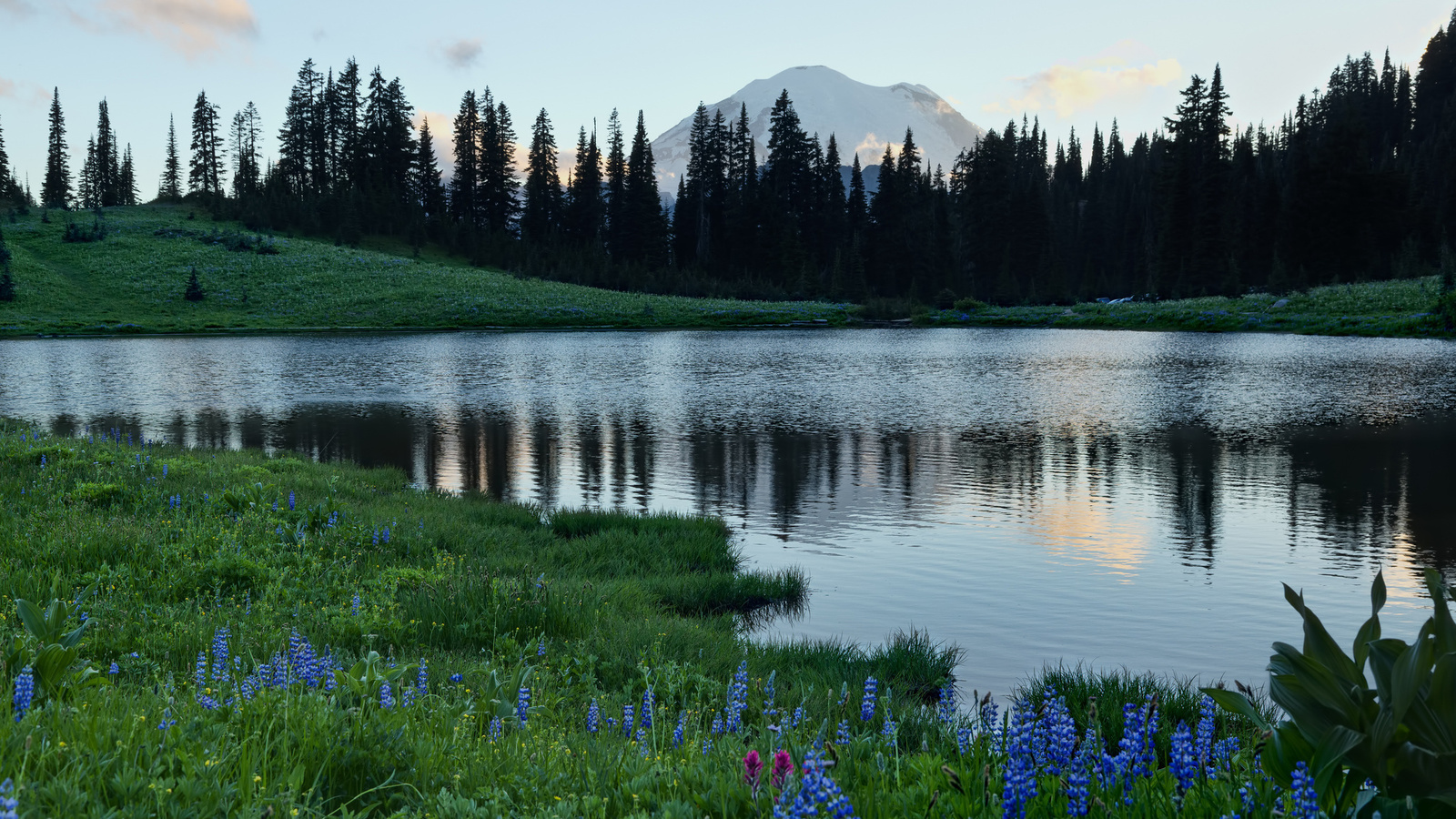 tipsoo lake, mount rainier, mount rainier national park, washington, lake tiphsah, mount rainier