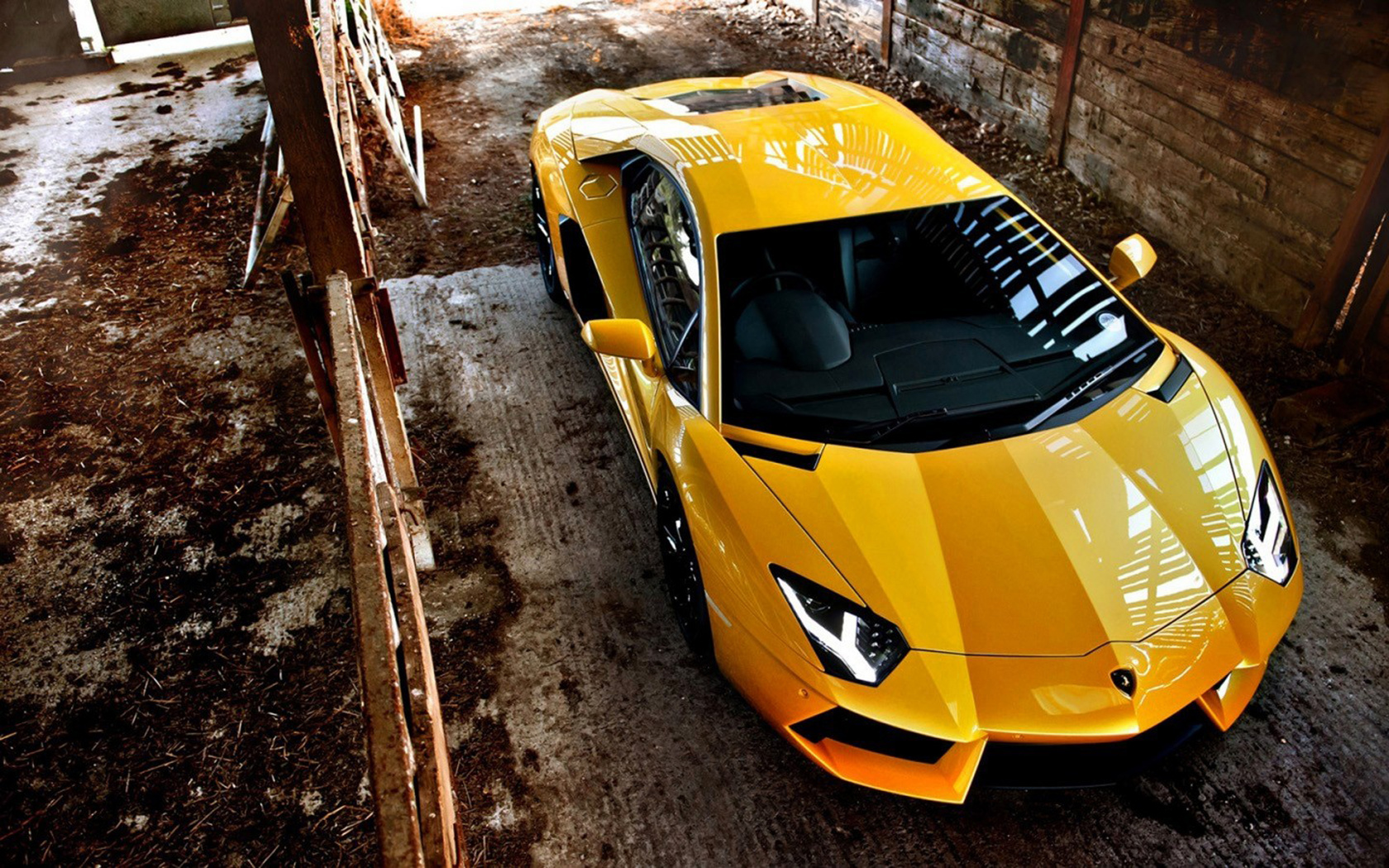 lamborghini, , , , super car, cars