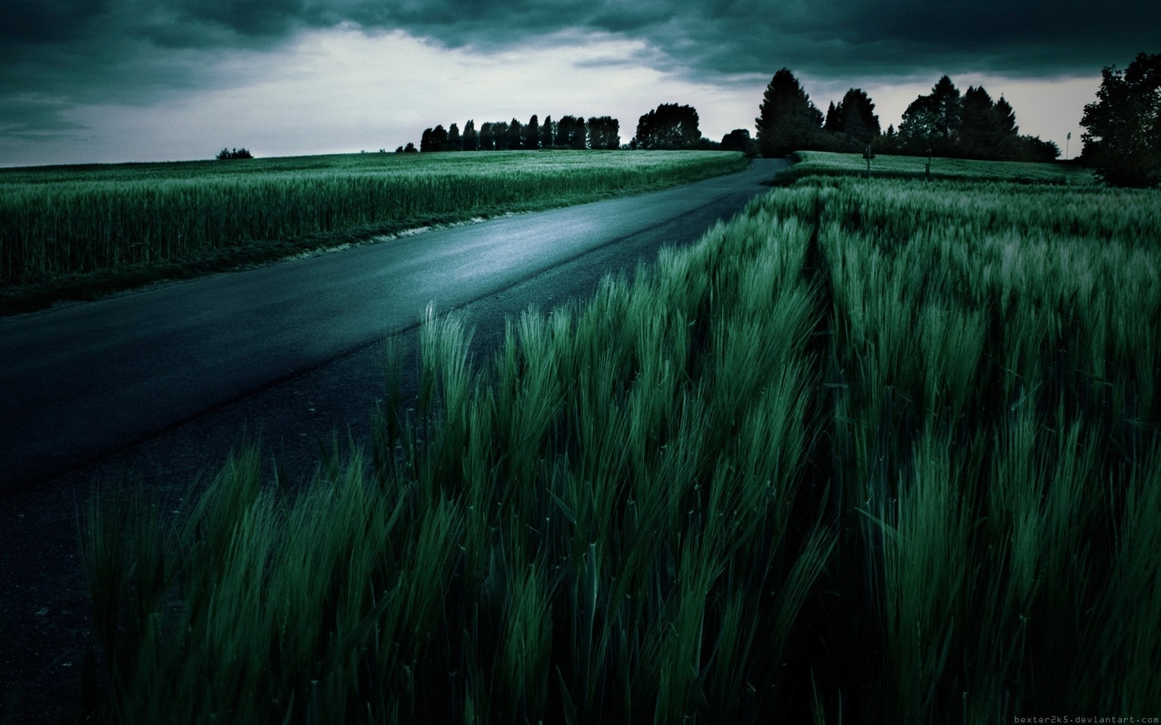 dark, fields, tree.clouds