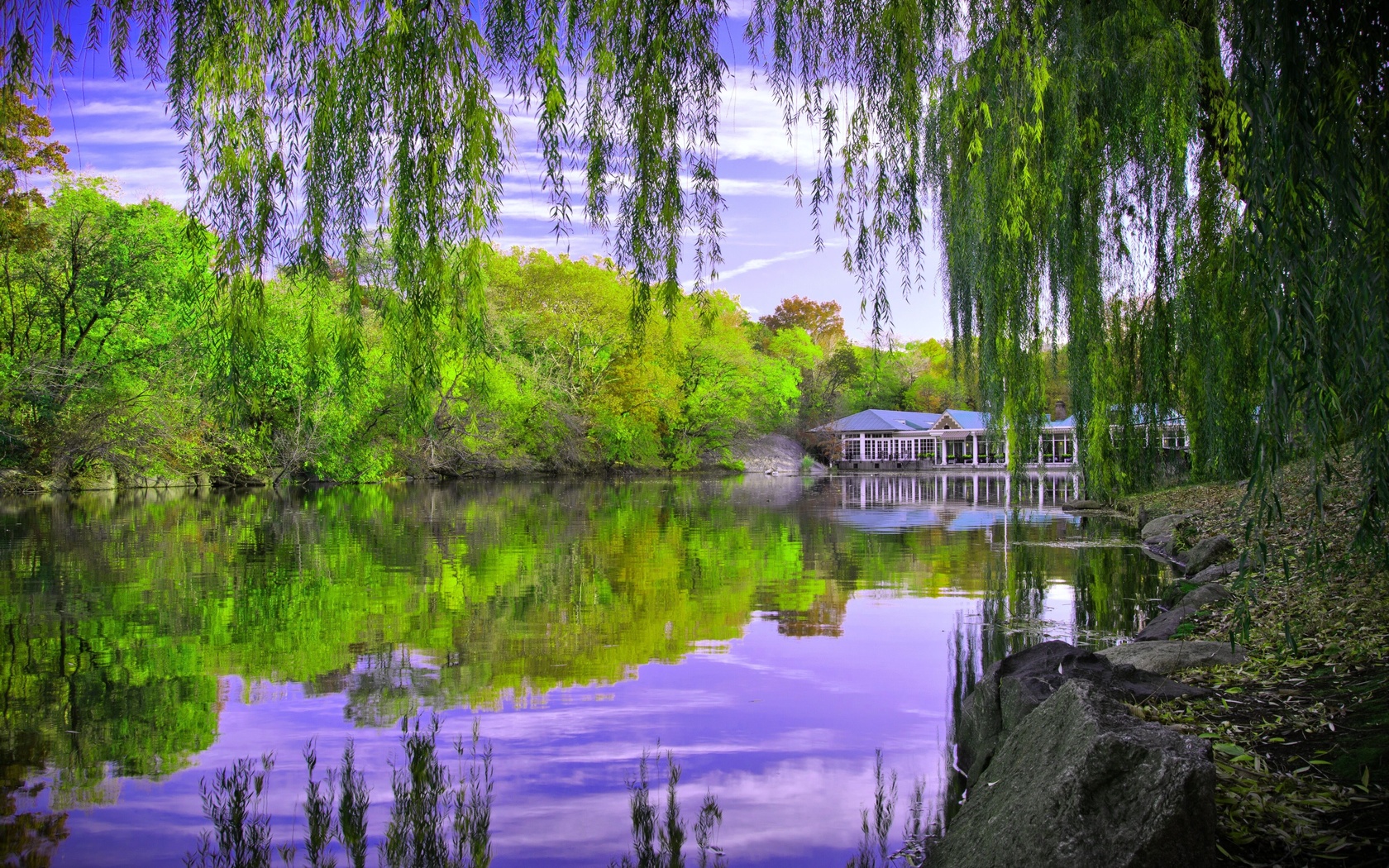 central park in new york, autumn, pond, trees, 