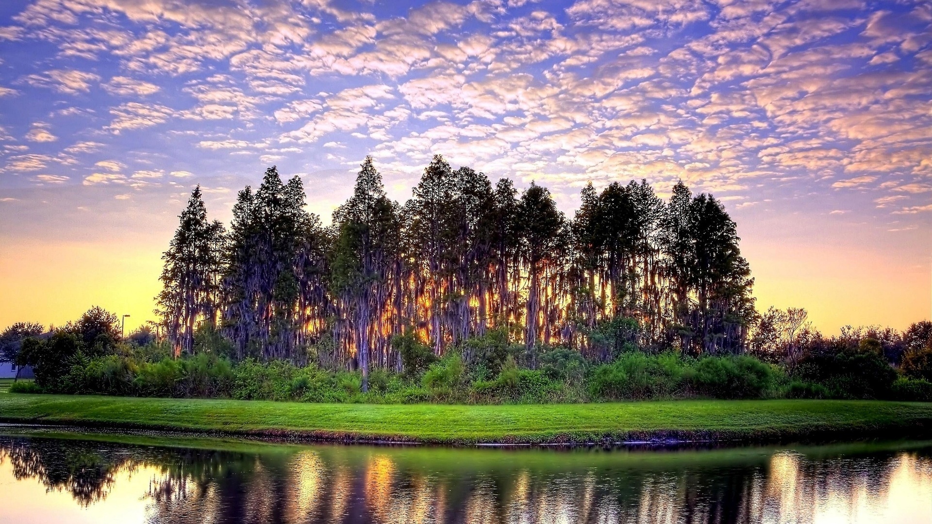 river, trees, water, sky, clouds