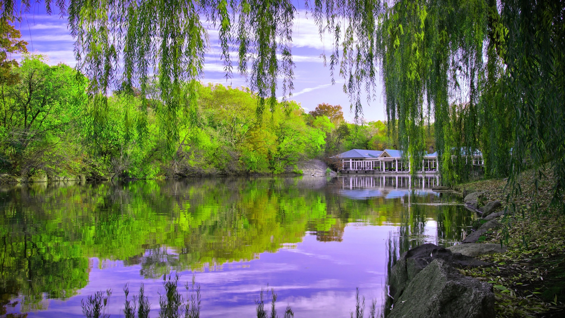 central park in new york, autumn, pond, trees, 