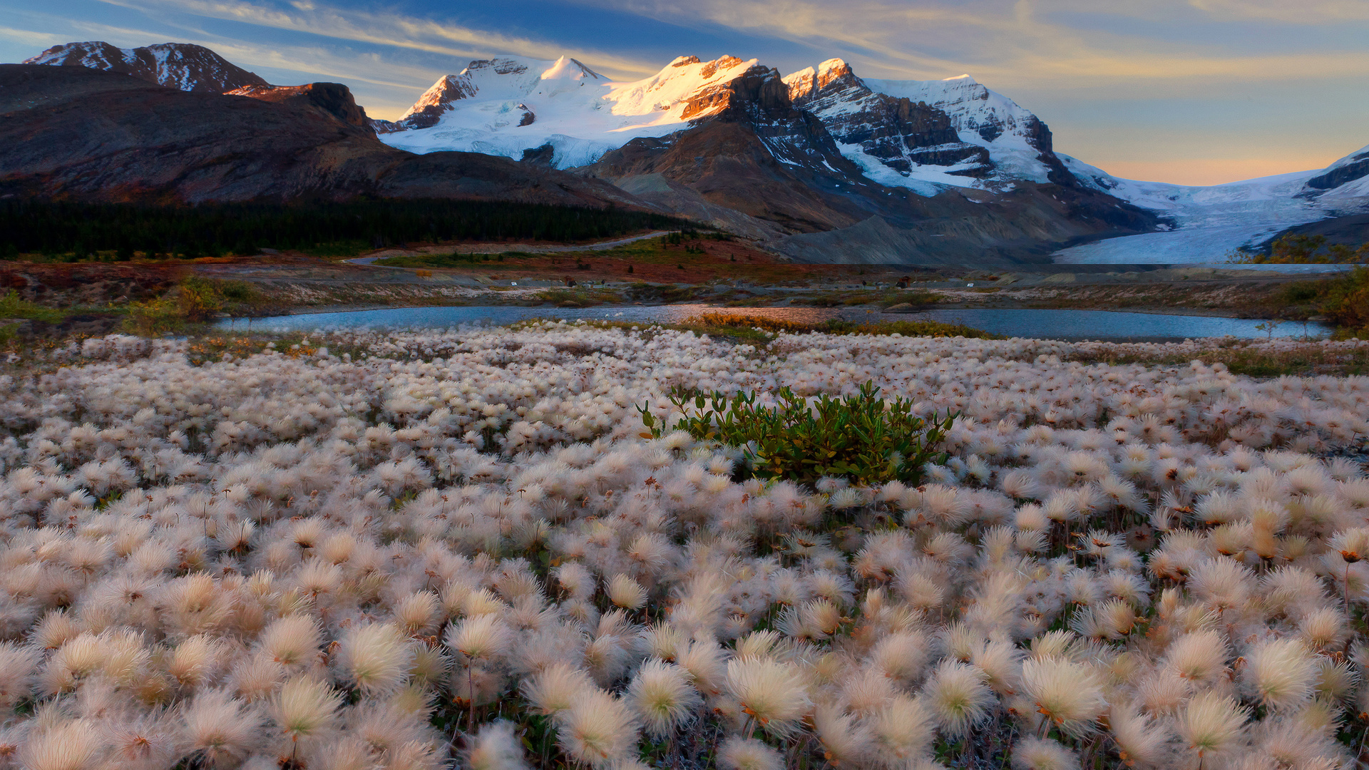 fairy dust dreams - columbia icefields, icefields parkway, alberta,    -  icefields, icefields parkway, 