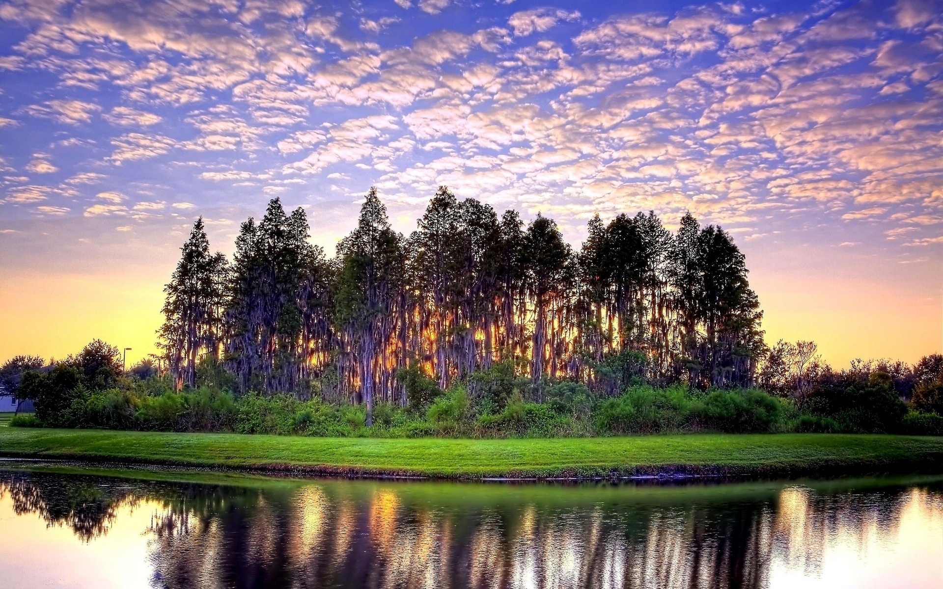 river, trees, water, sky, clouds