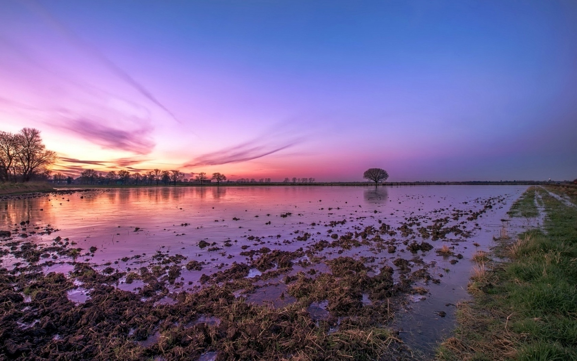 lake, muddy, purple, water