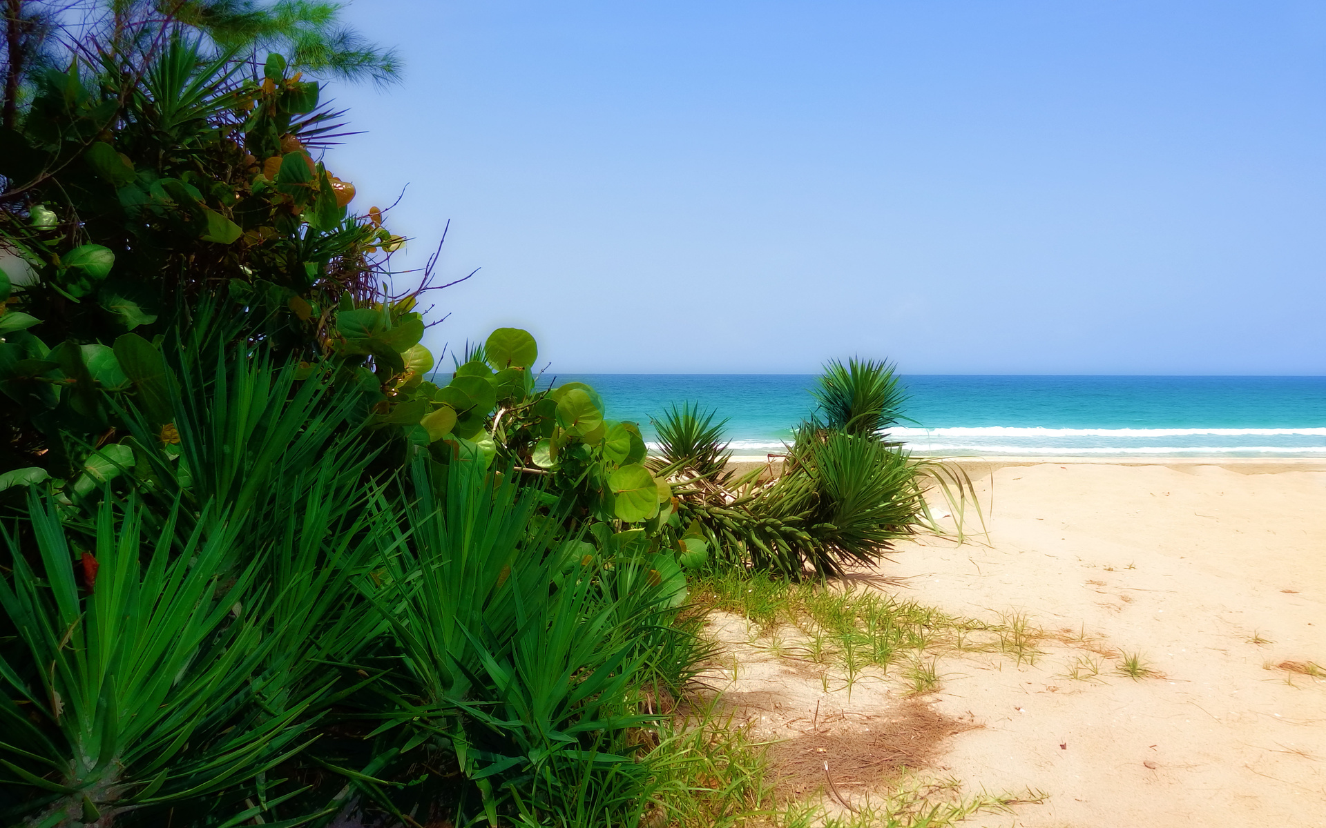 florida, atlantic ocean, landscape, ,  , 