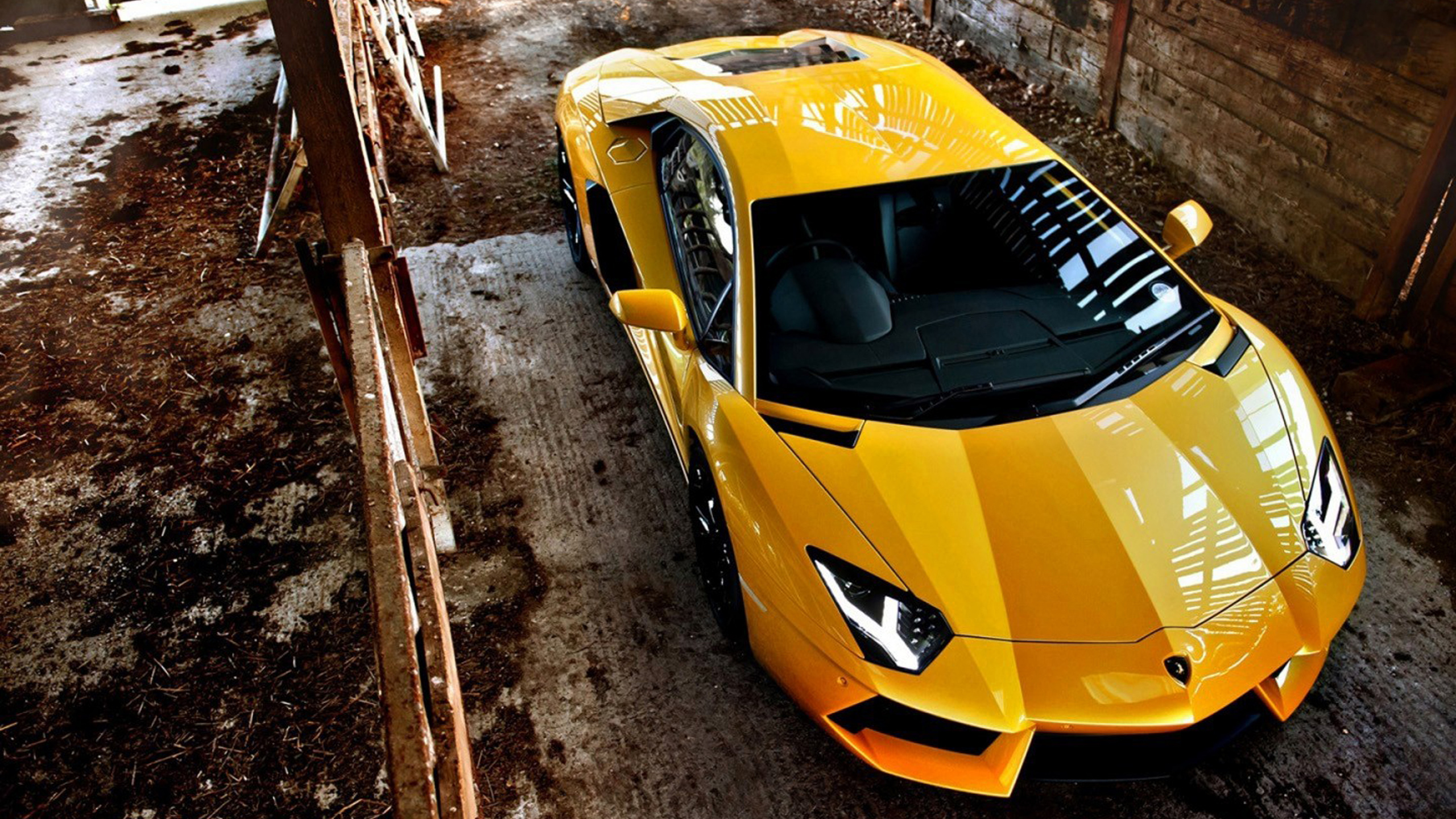 lamborghini, , , , super car, cars