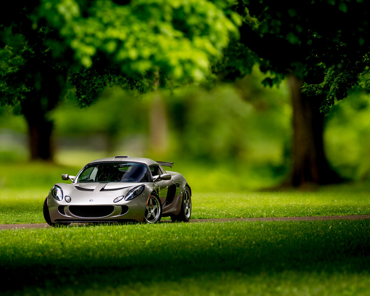 lotus, exige, front, silvery, 