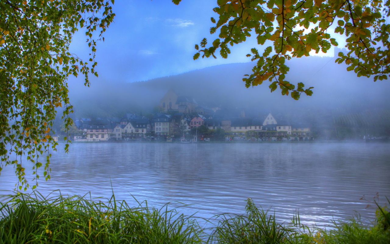 river, germany, ellenz-poltersdorf, leaves, branch, grass