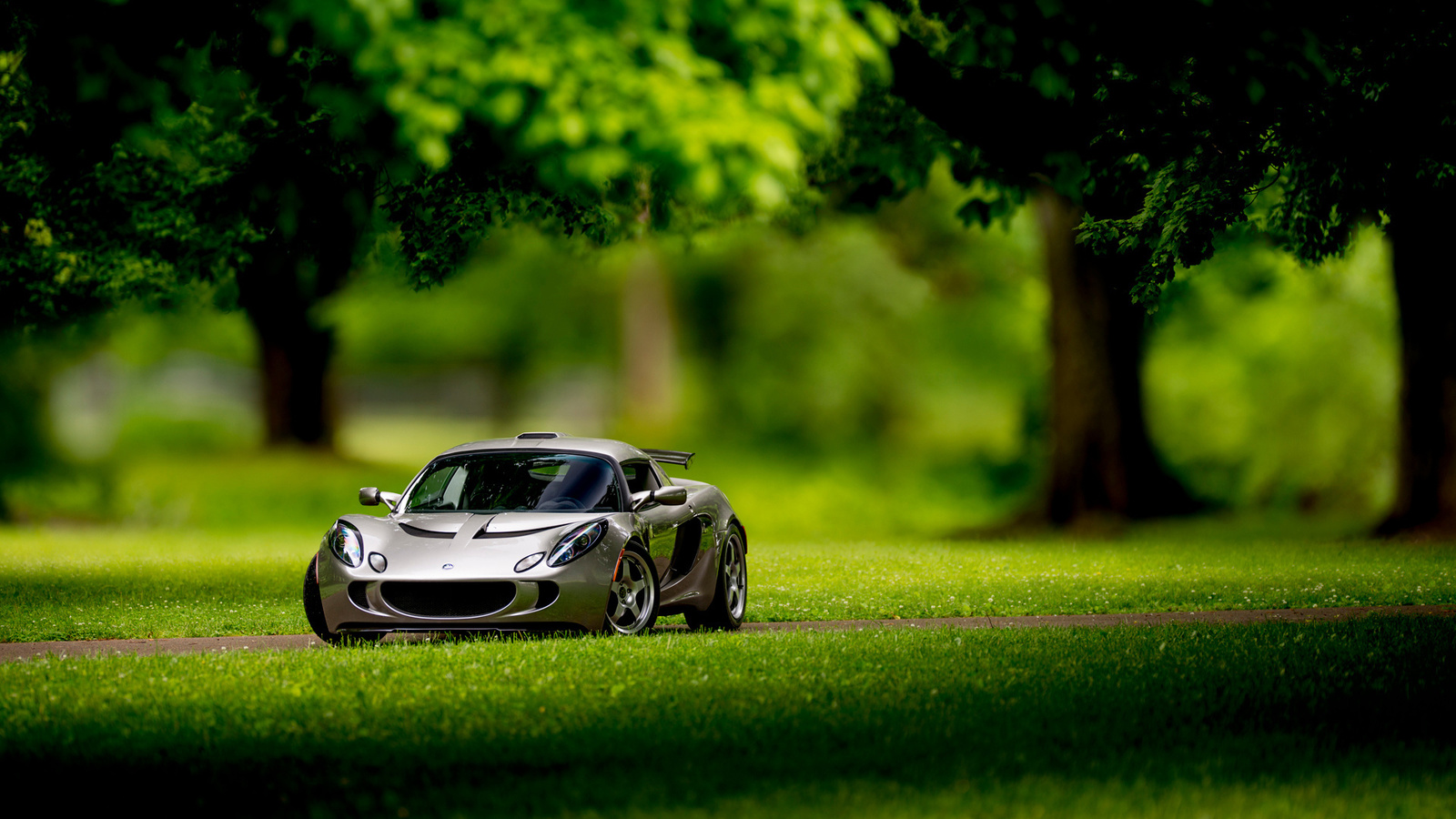 lotus, exige, front, silvery, 