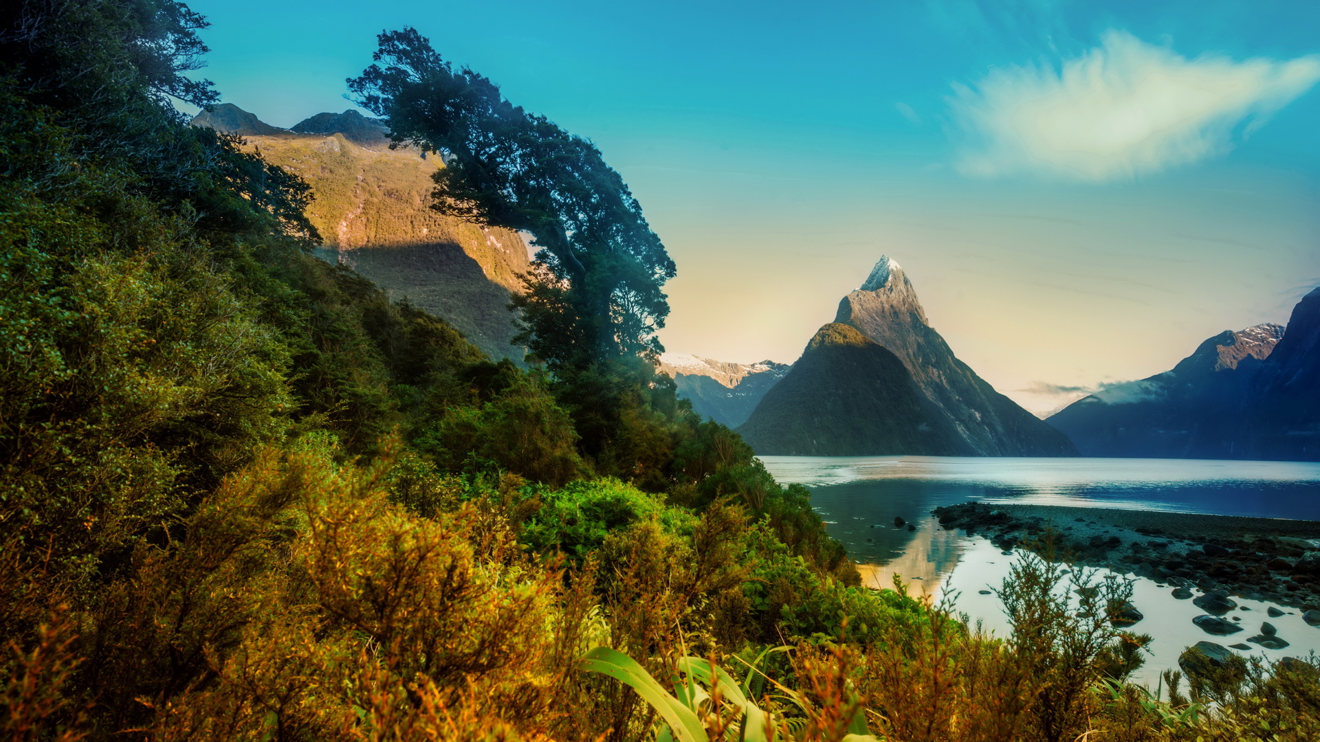 landscape, new zealand, mountains, milford, shrubs