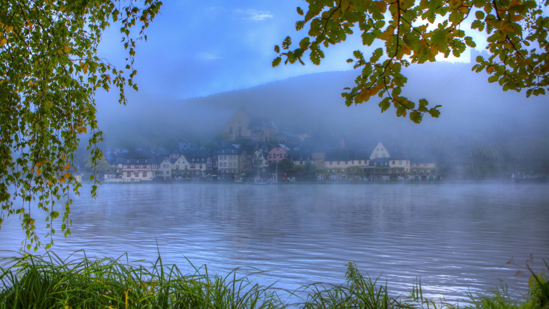 river, germany, ellenz-poltersdorf, leaves, branch, grass