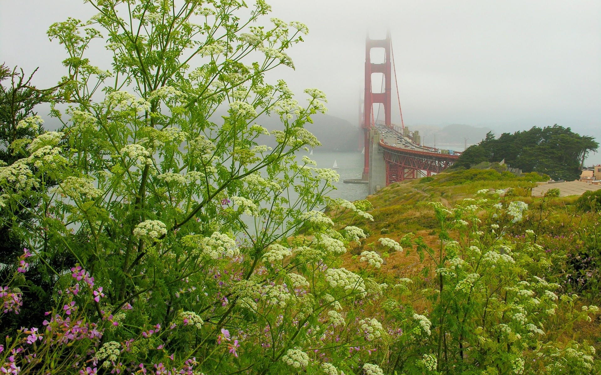 the golden gate bridge, fort scott, state of california