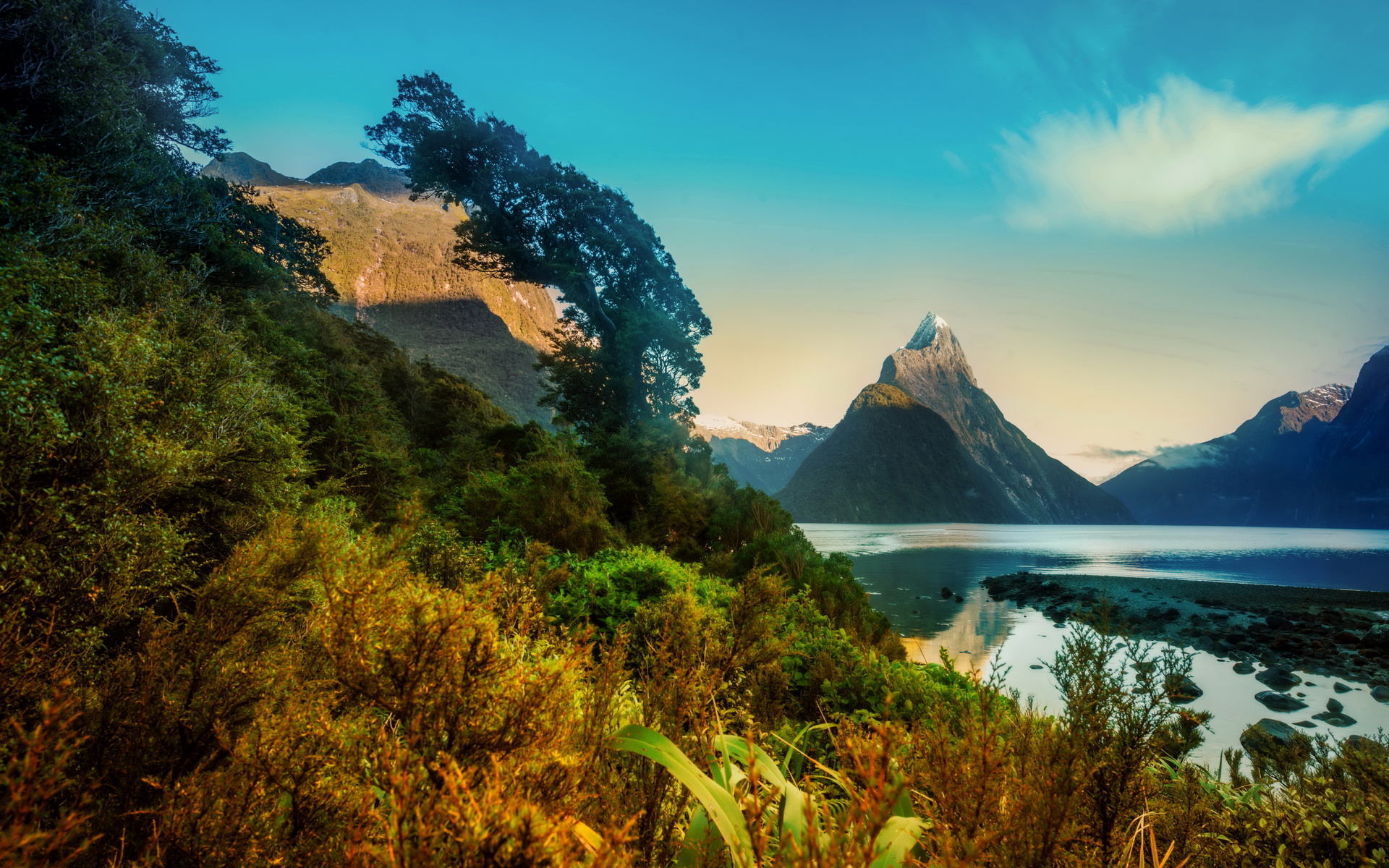 landscape, new zealand, mountains, milford, shrubs