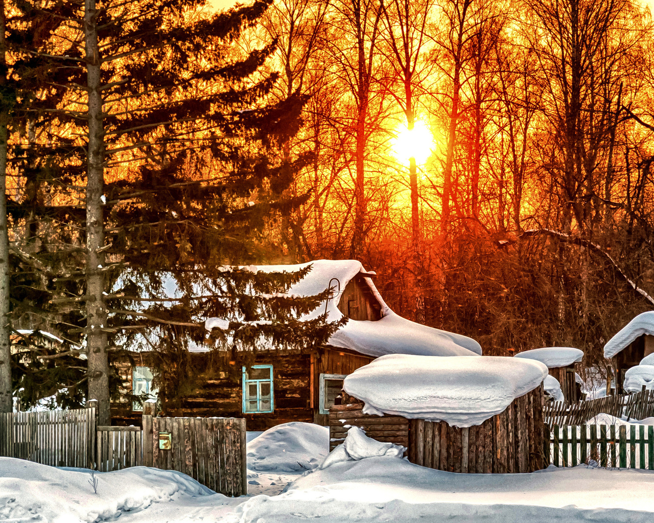 sunrise, forest, cottage, snow, tree, winter