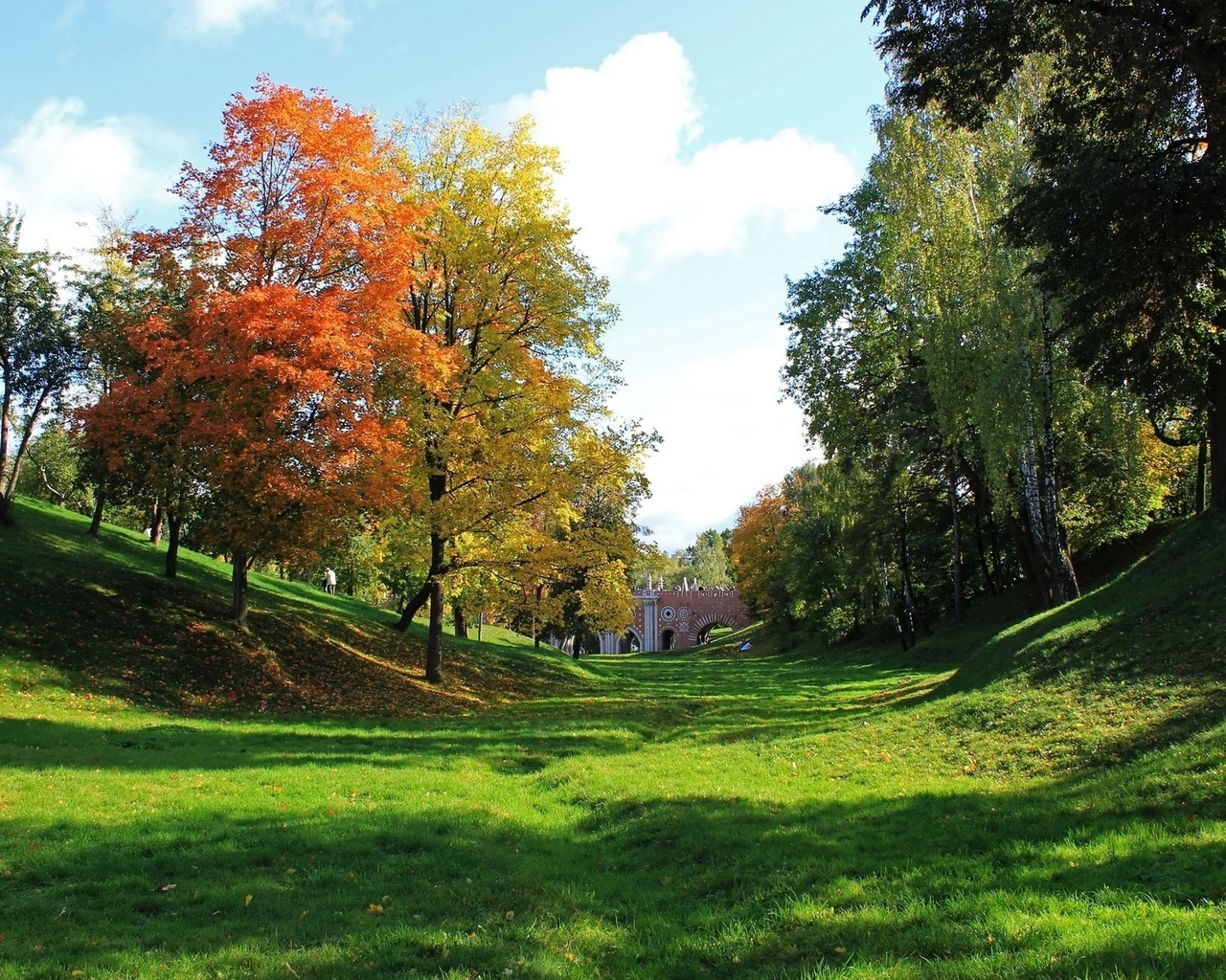 colorful, tree, grass, green