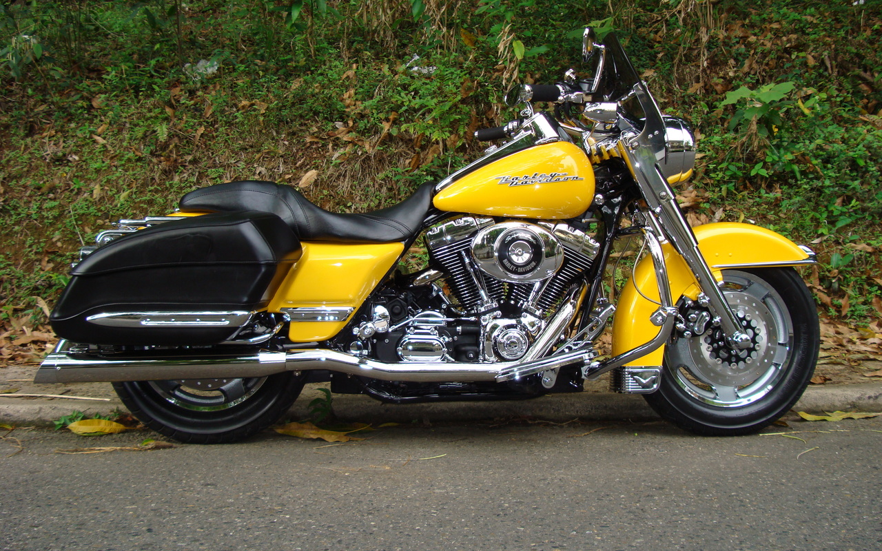 harley-davidson, road king, custom, 