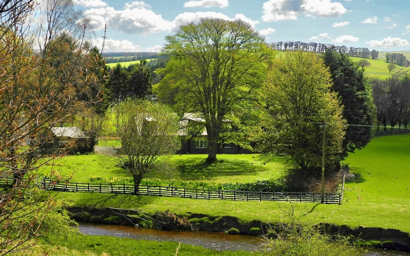 green, tree, grass, clouds