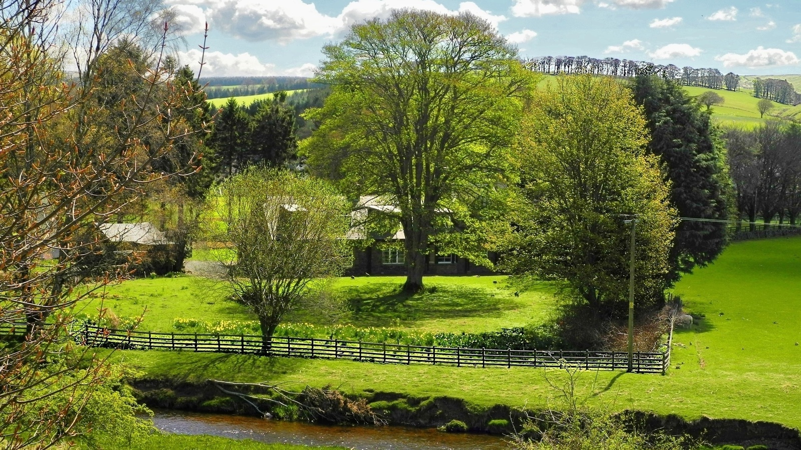 green, tree, grass, clouds