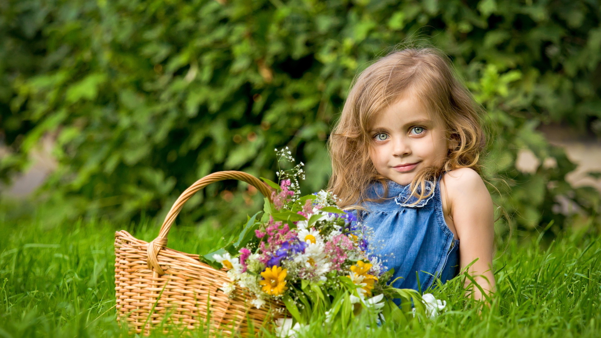 summer, flowers, mood, 