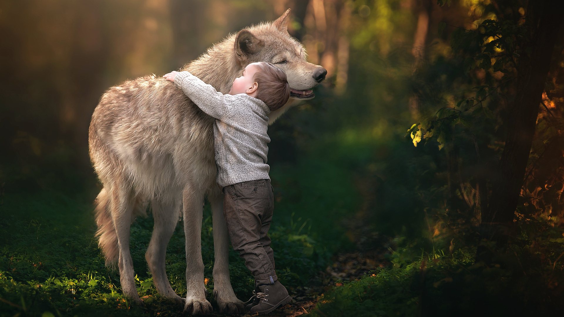 Мальчик и волк - красивые фото