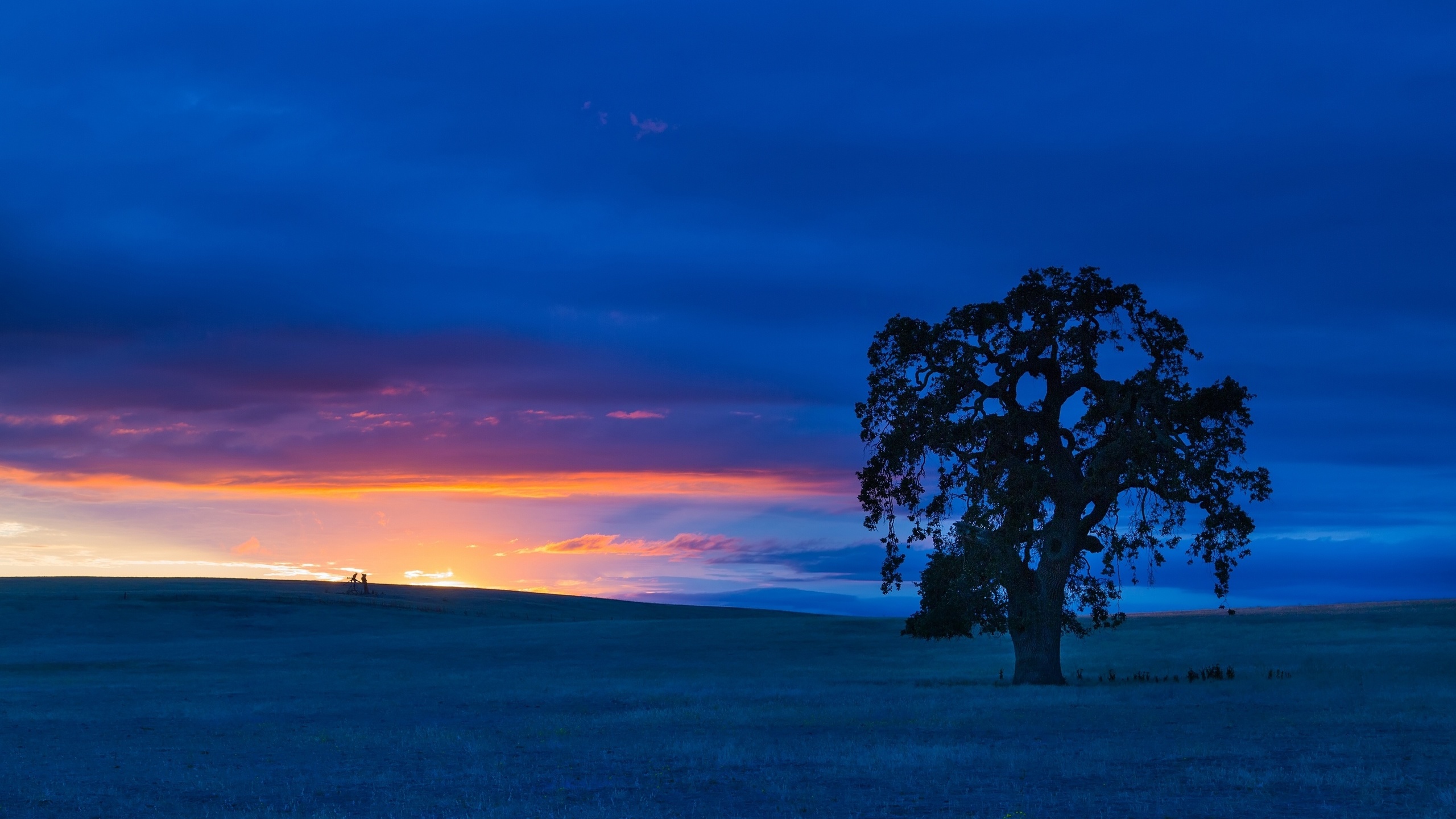 san benito county, california, -, , , , 