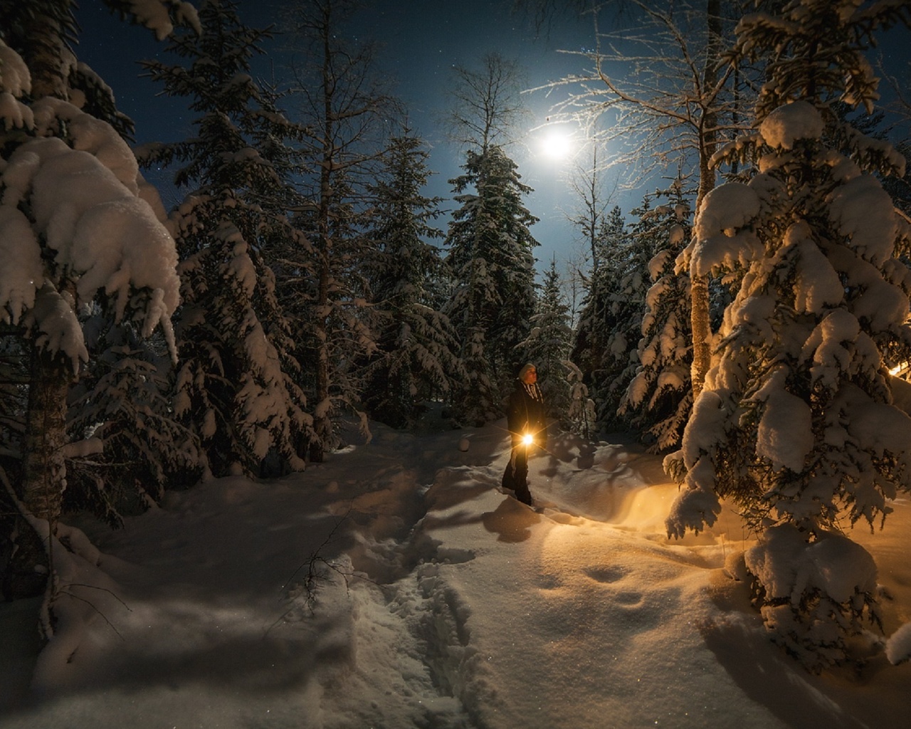 зимняя ночь фото красивые