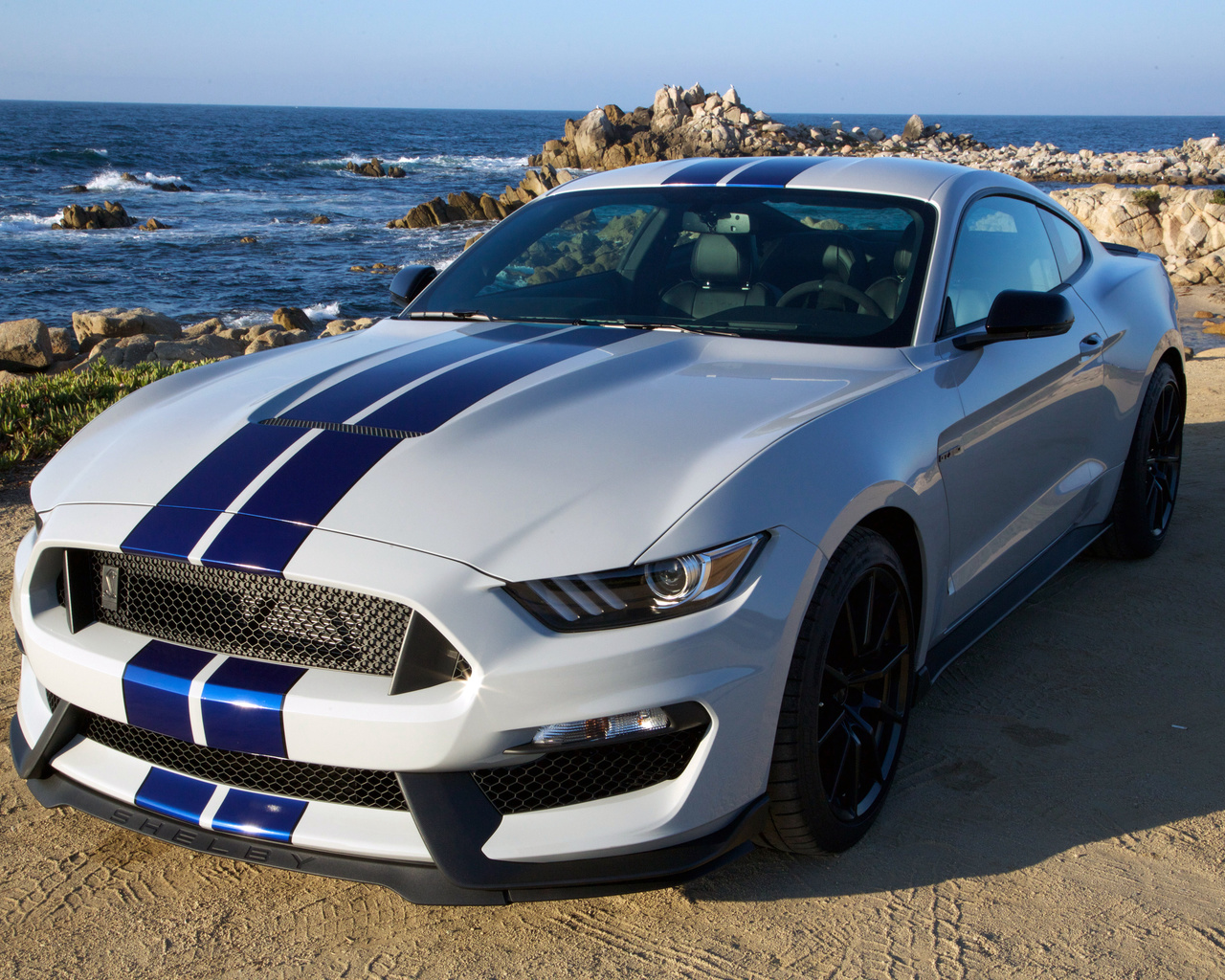 2015, shelby, gt350, ford, mustang, , 