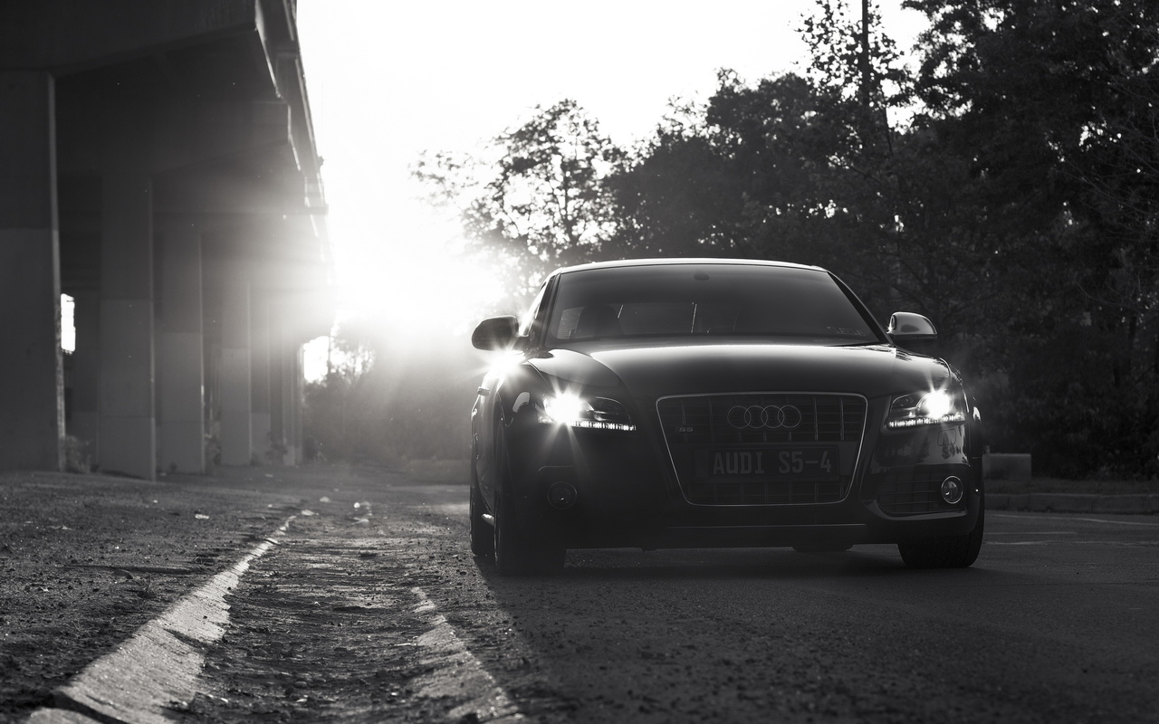 audi s5, , ,   