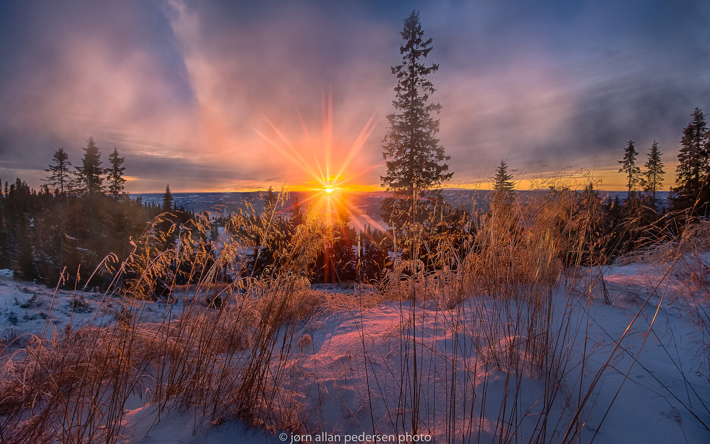 , , , , , , , ,jorn allan pedersen