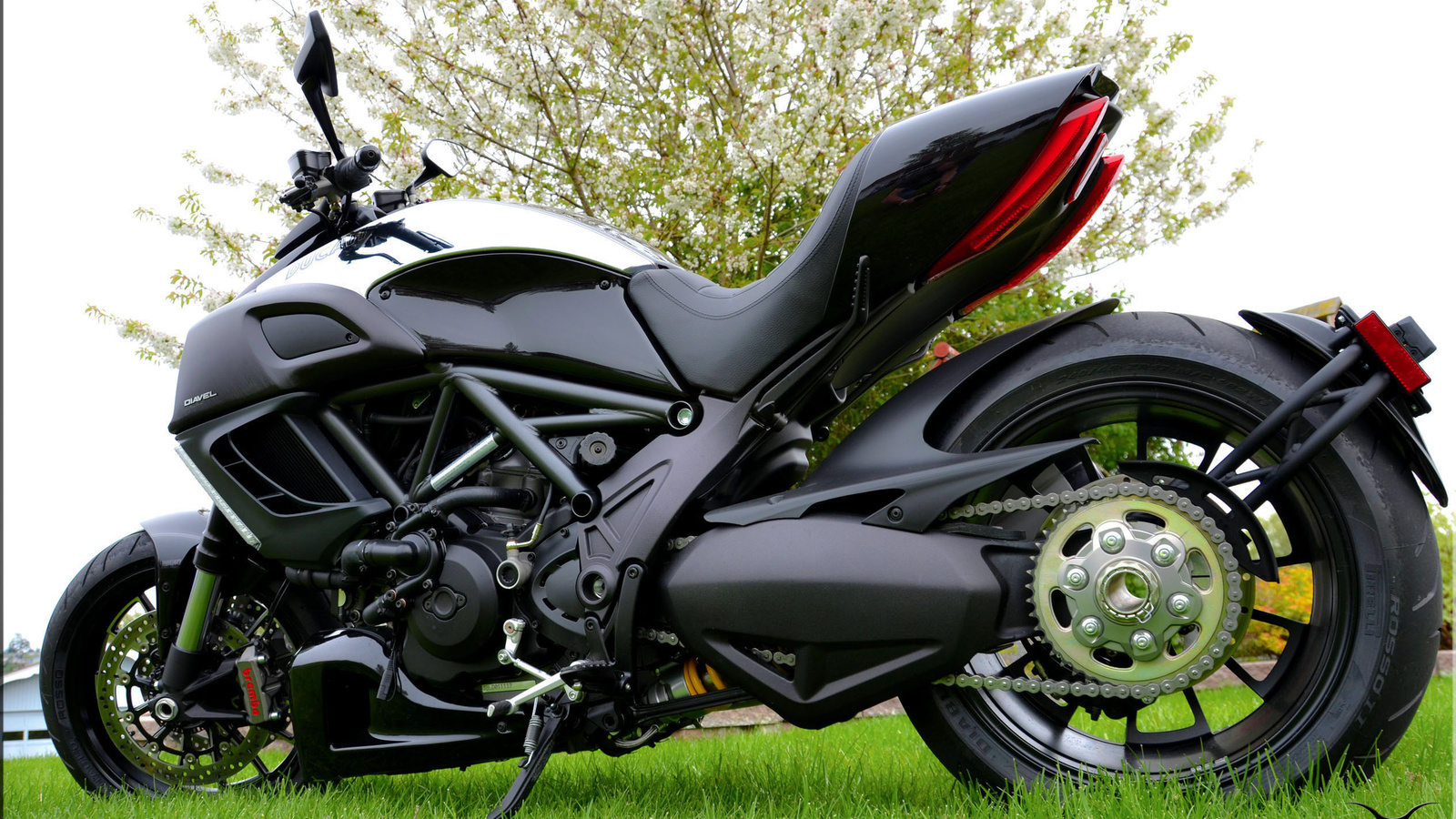 ducati, diavel, 