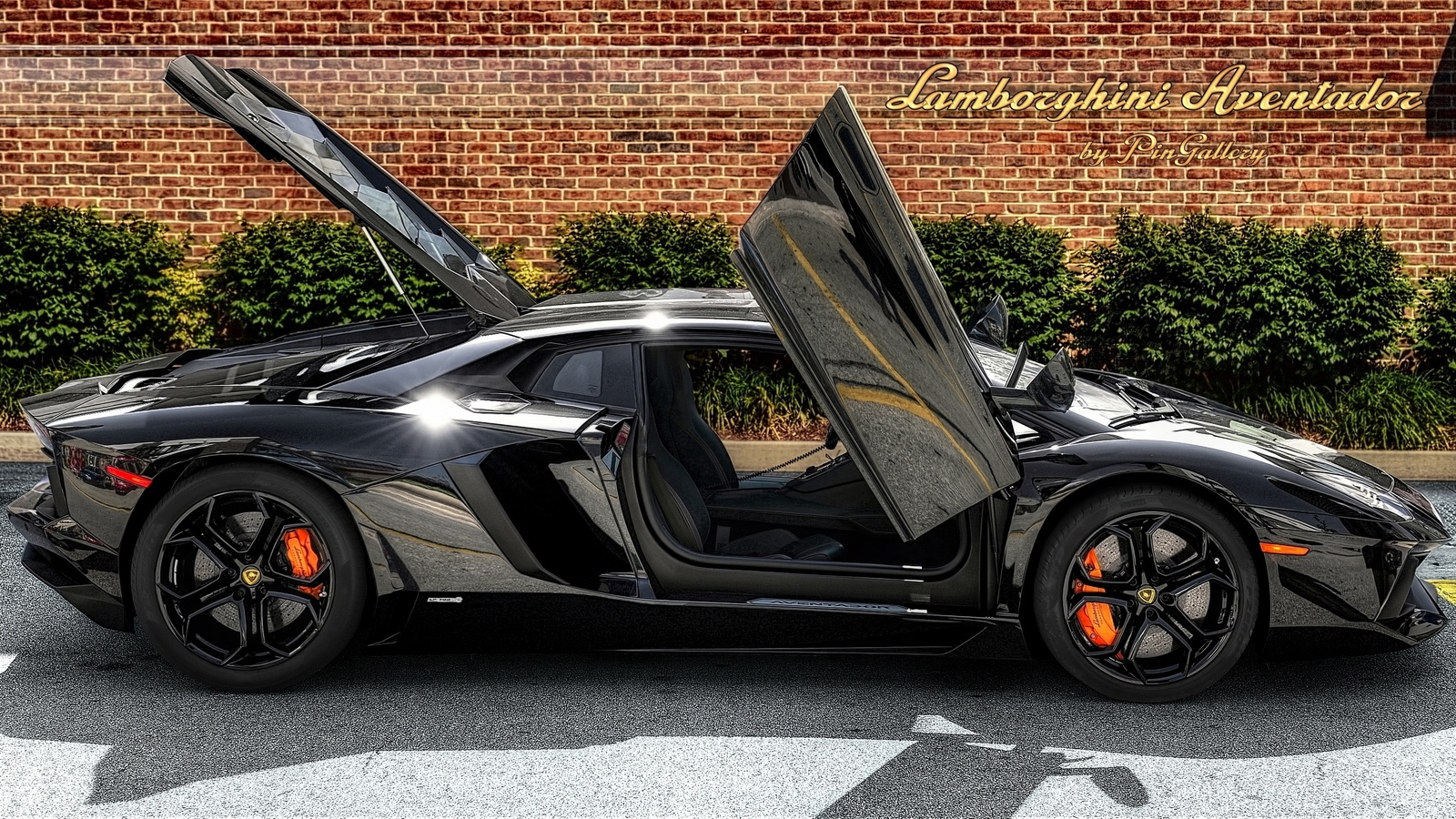 lamborghini aventador, pingallery, photography