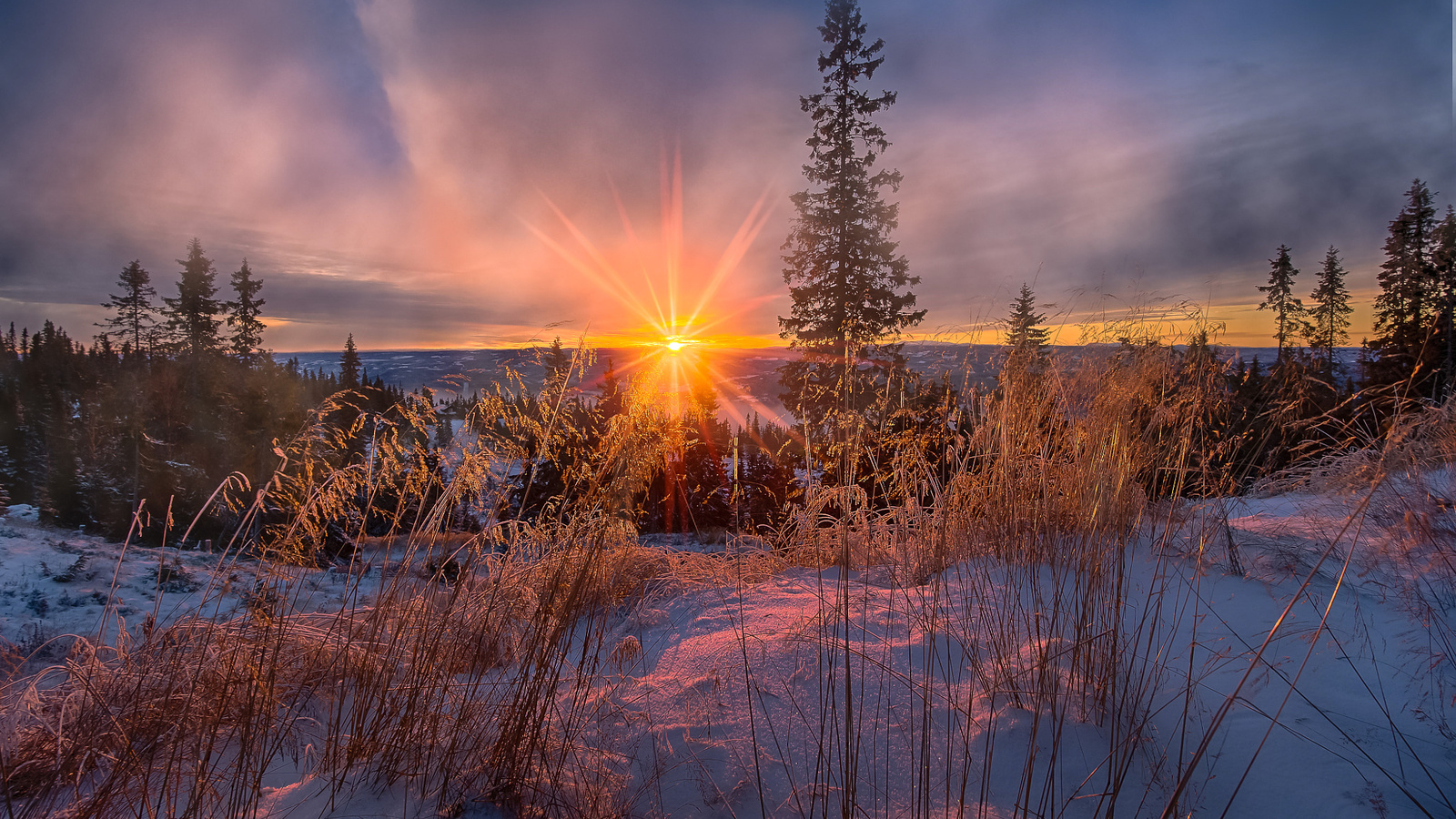 , , , , , , , ,jorn allan pedersen