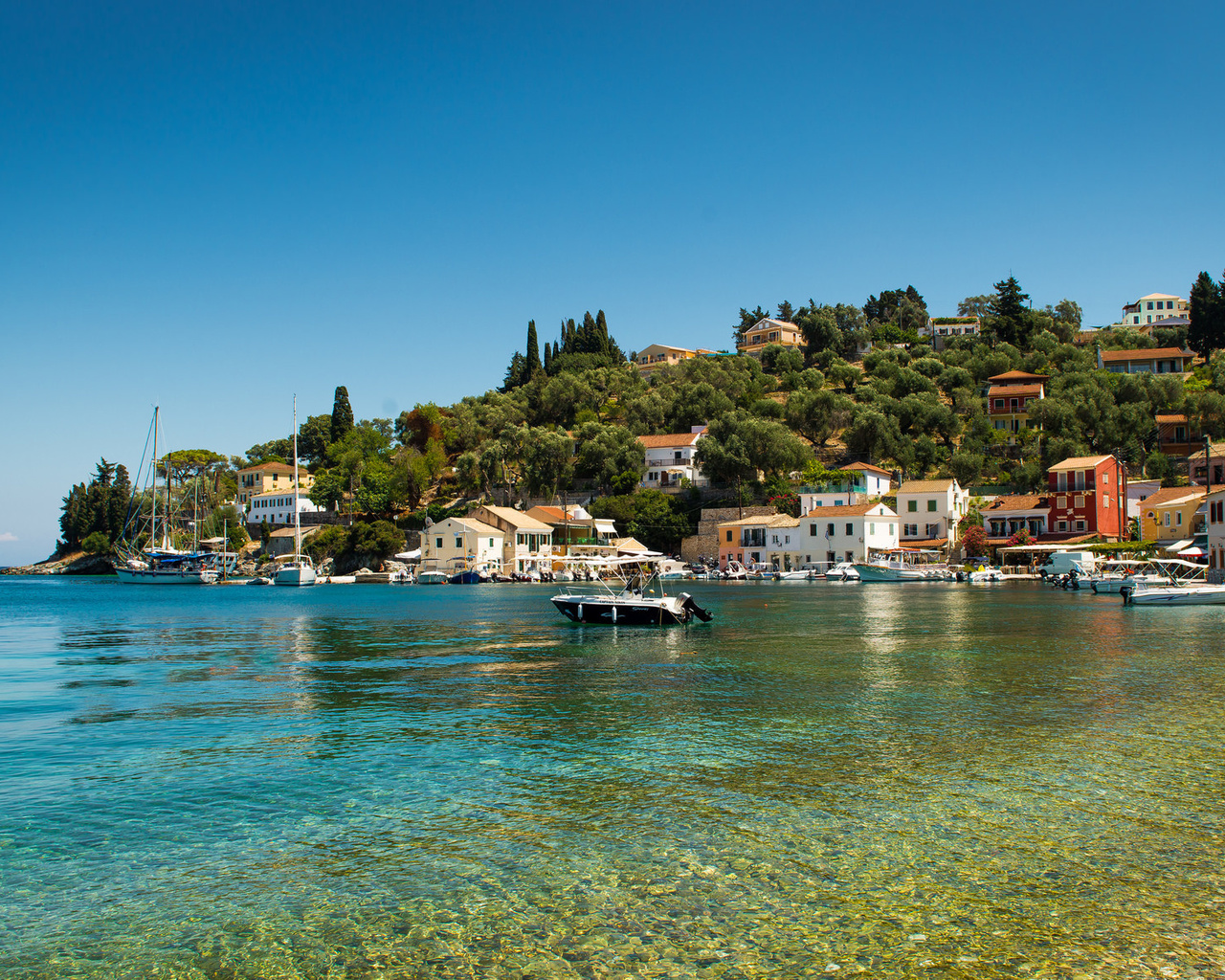 longos, paxos, ,  ,  