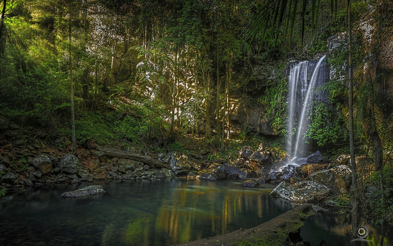 curtis falls,   tamborine, , 