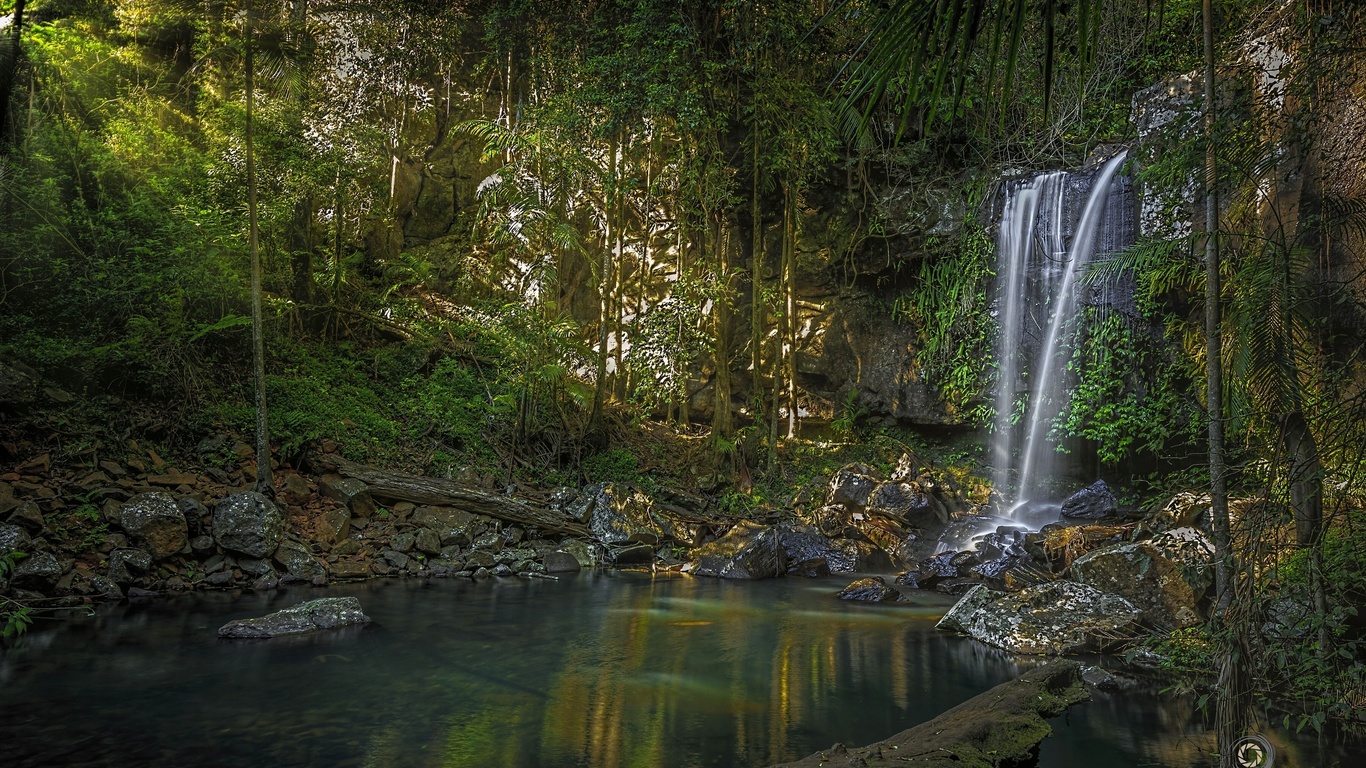 curtis falls,   tamborine, , 