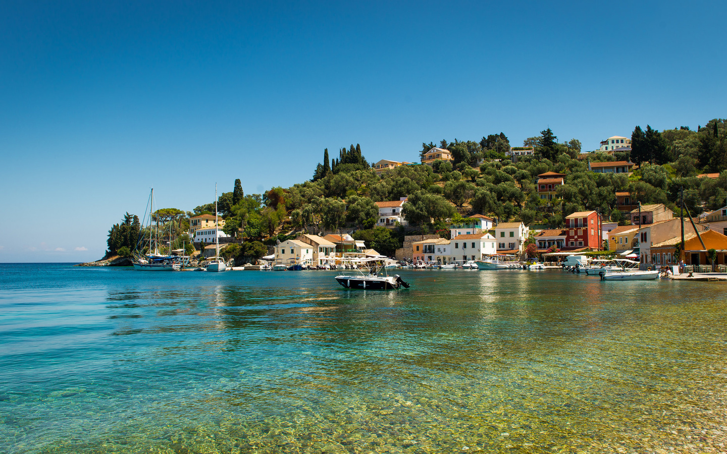 longos, paxos, ,  ,  