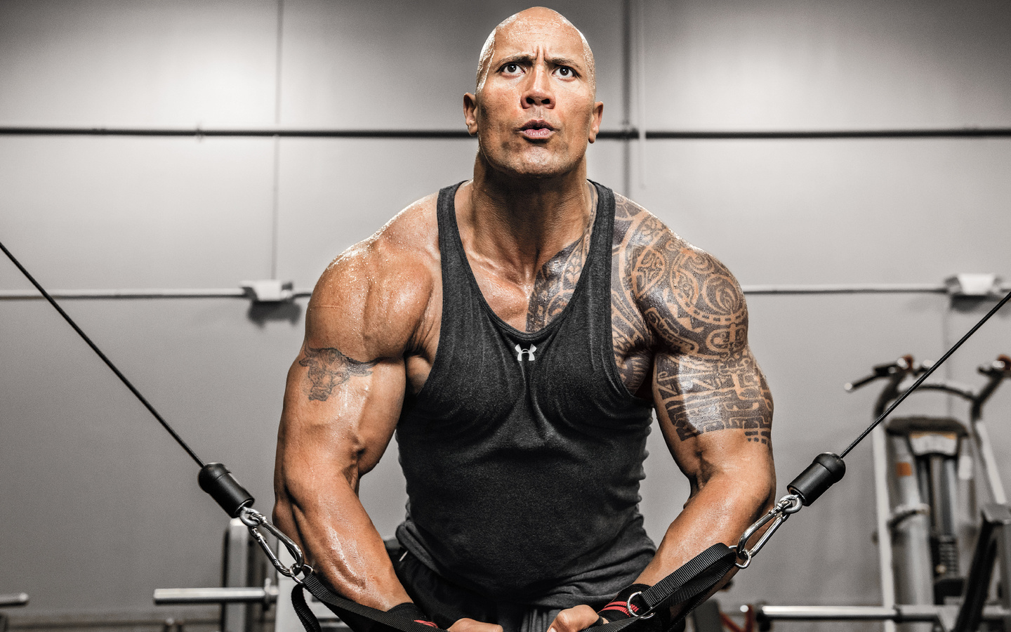 dwayne johnson, machine, the rock, gym, workout, tattoo