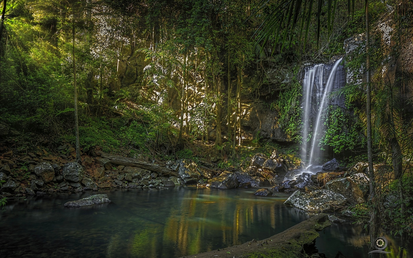 curtis falls,   tamborine, , 