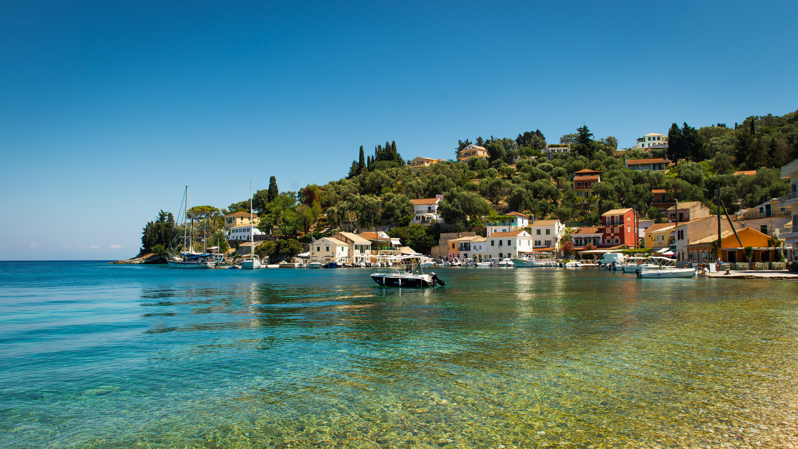 longos, paxos, ,  ,  