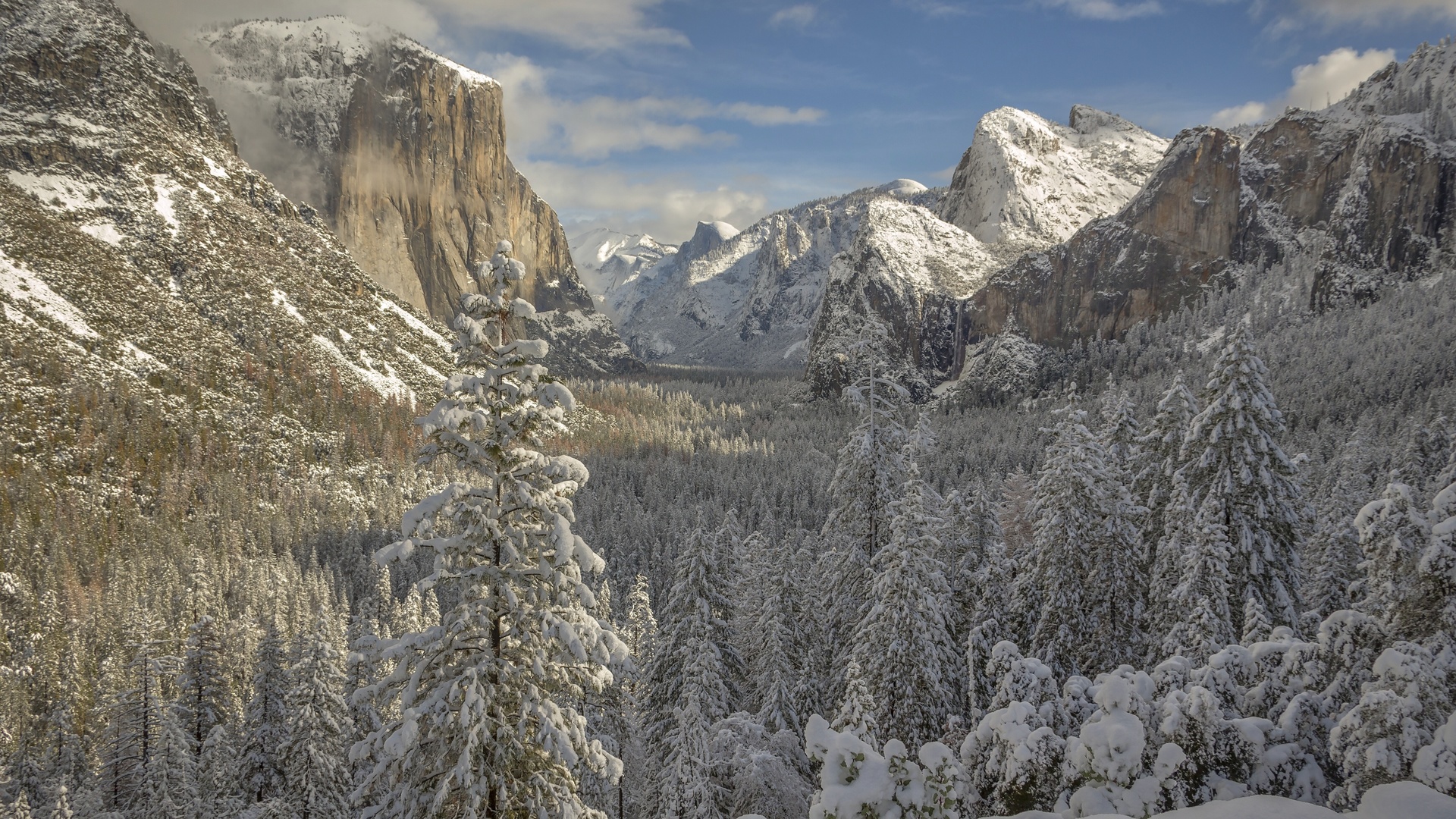 yosemite national park, california, sierra nevada, yosemite national park, yosemite, california