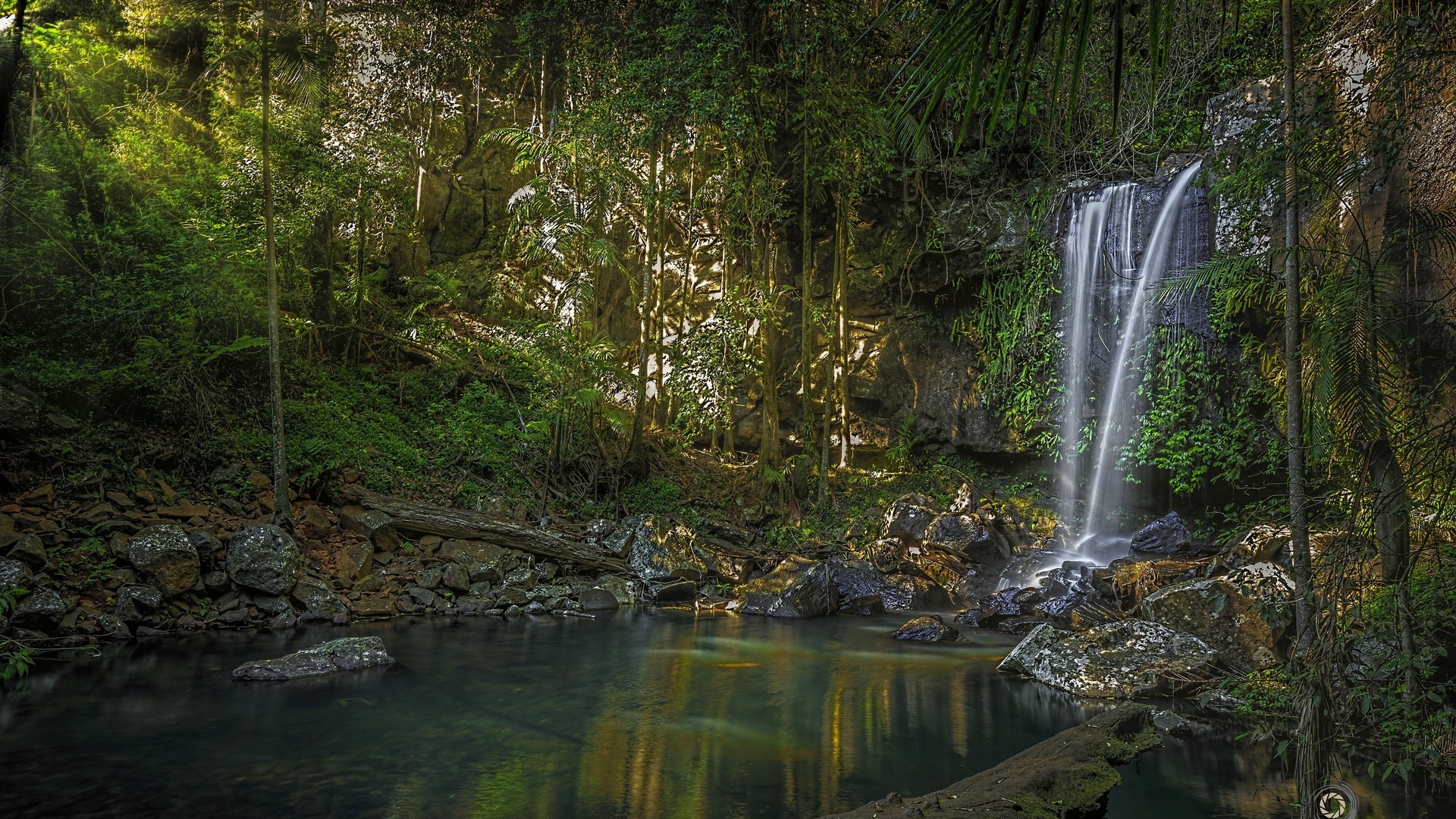 curtis falls,   tamborine, , 