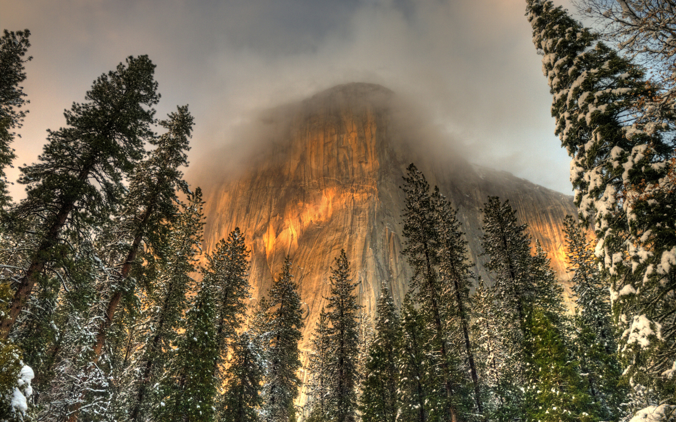 , , , yosemite national park, , , , 