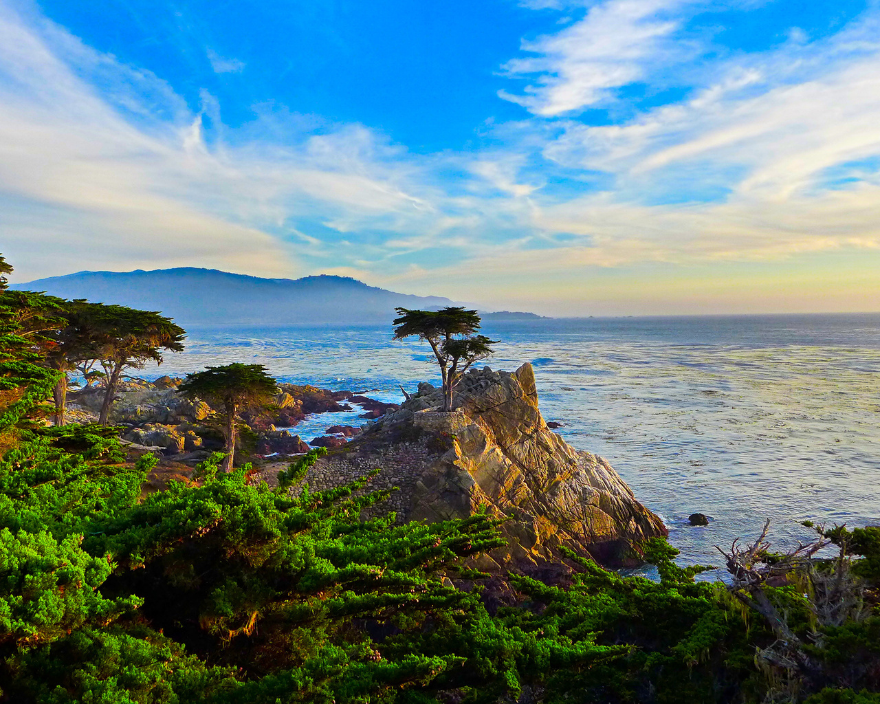 lone cypress, -, , , , 