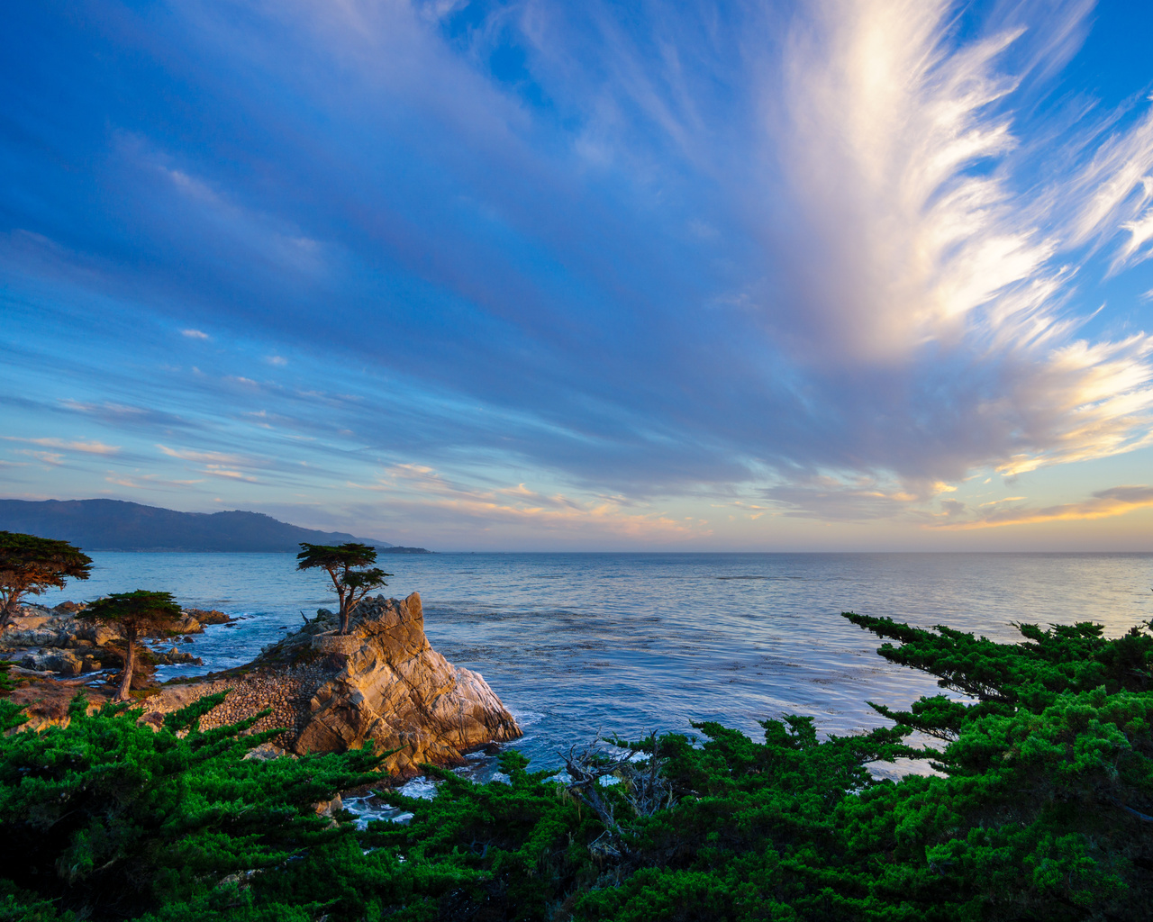 lone cypress, -, 