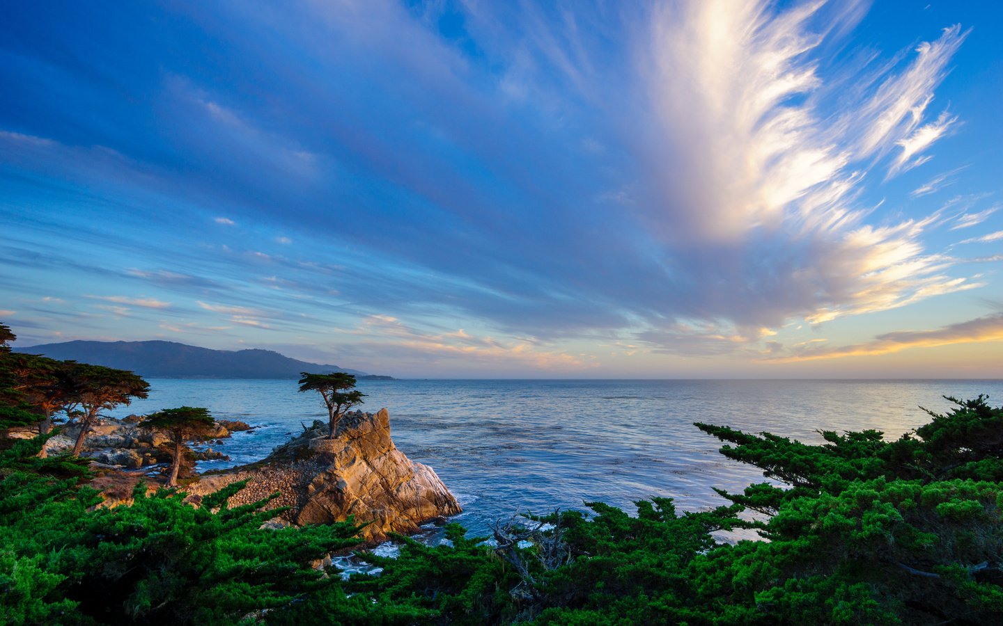 lone cypress, -, 