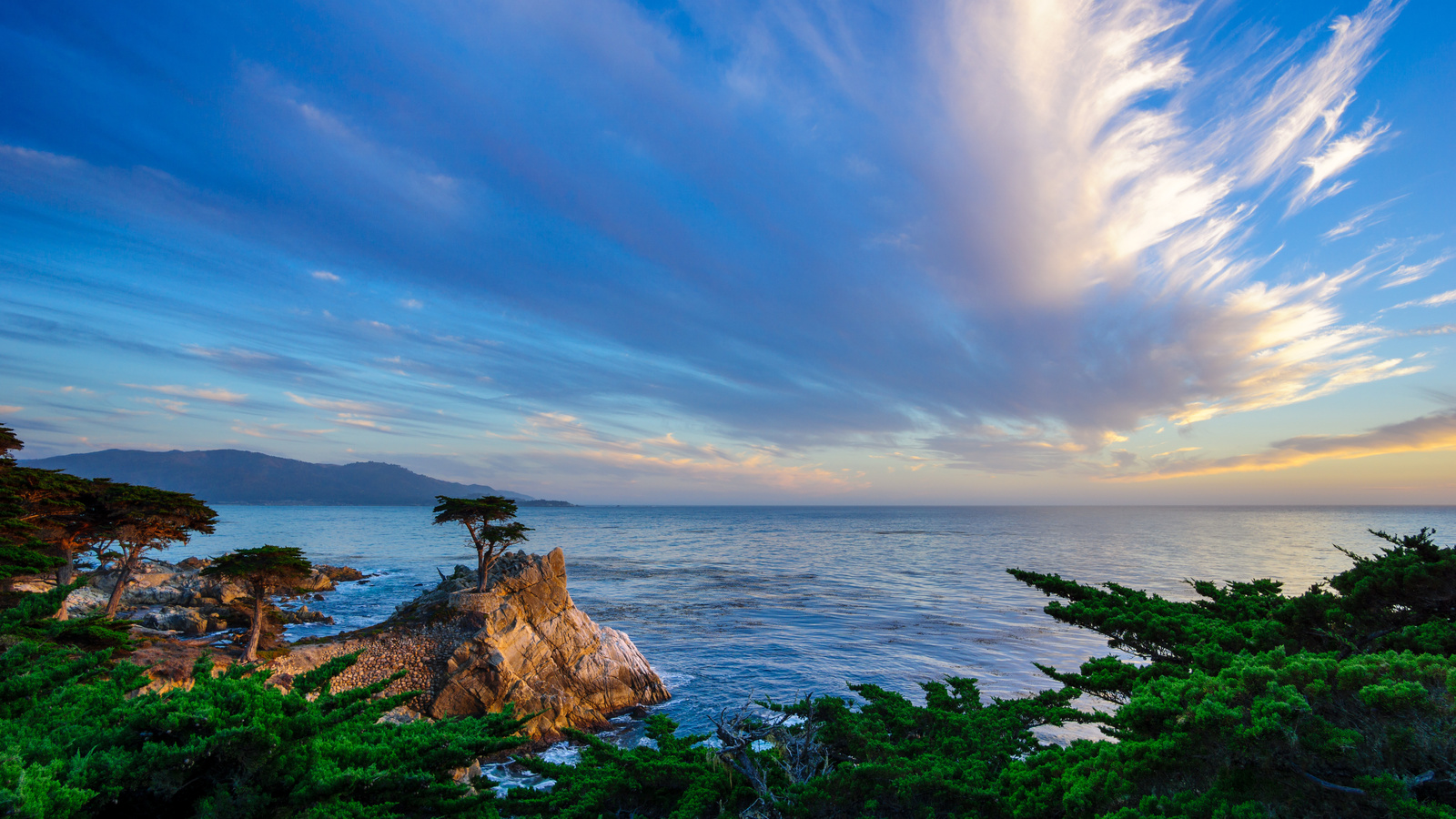 lone cypress, -, 