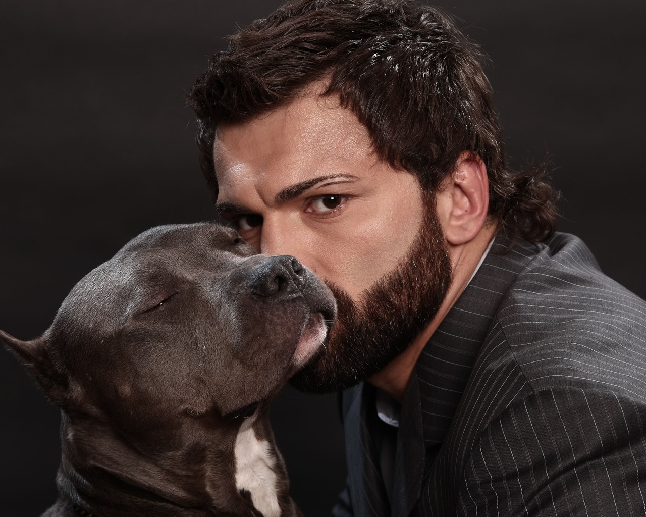 mma, andrei arlovski, fighter, ,  ,  , , the pit bull, mixed martial arts, , 